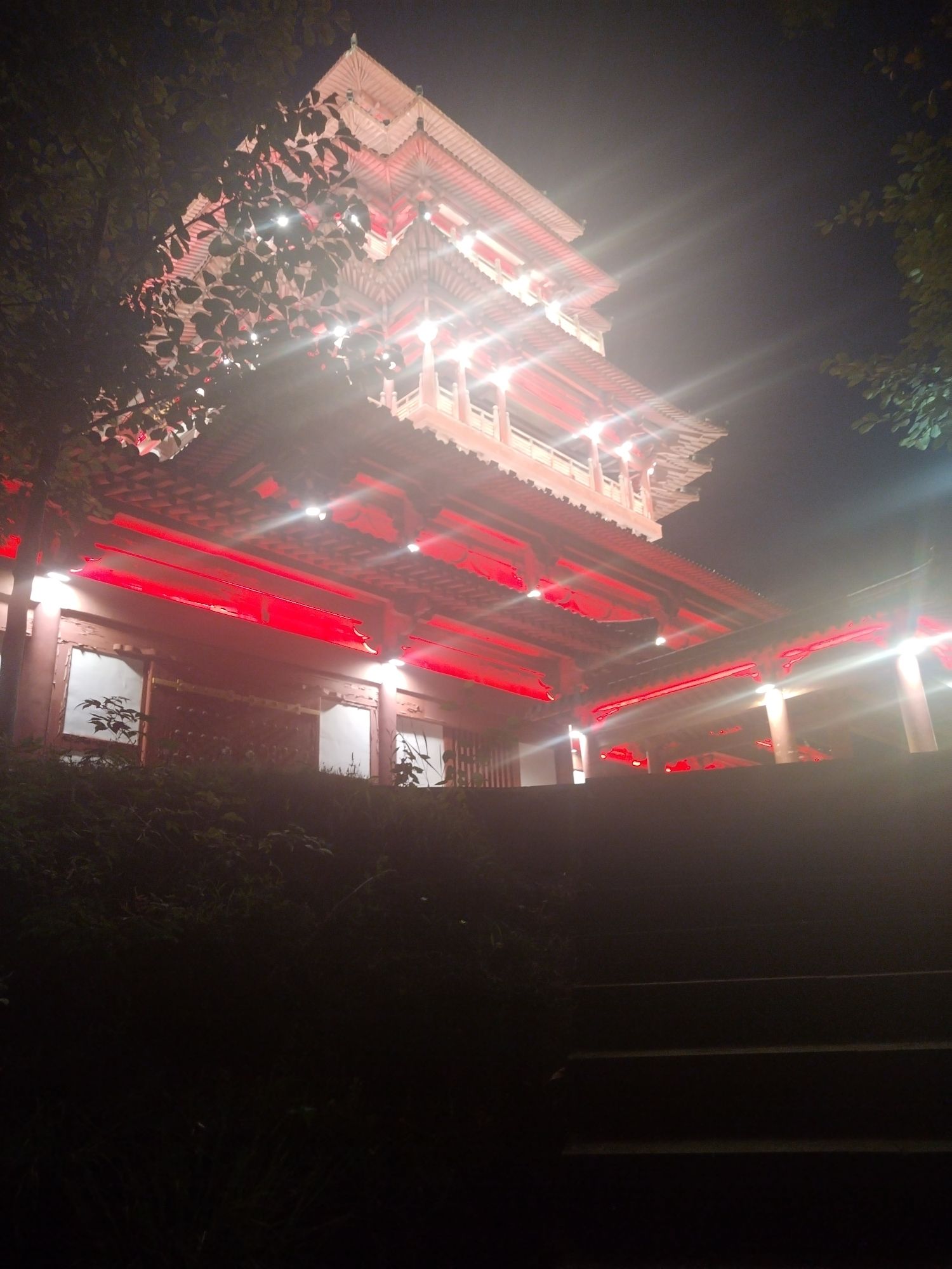 蒙岗岭公园旅行图片 3