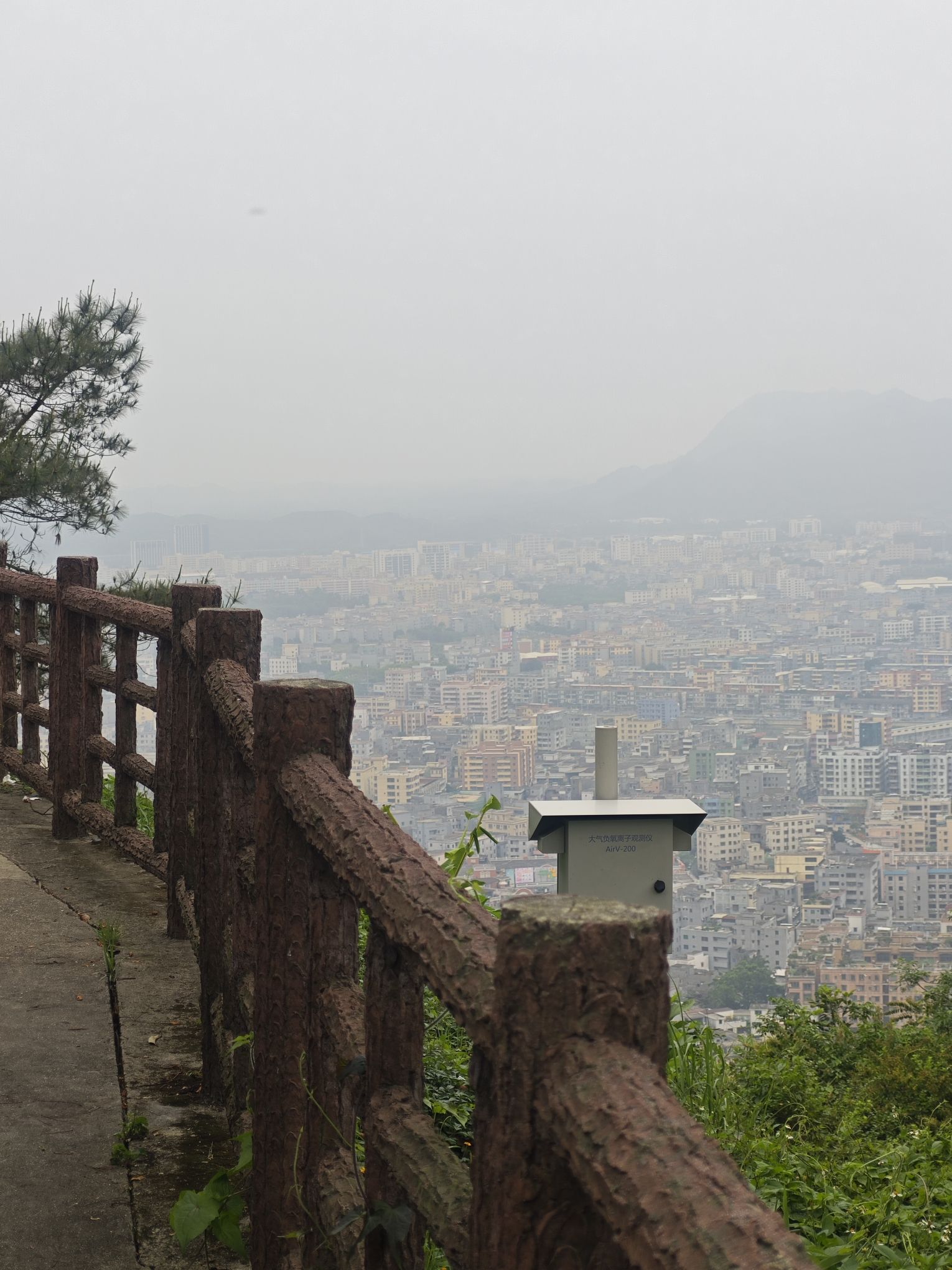 鳌峰公园小东门登山广场旅行图片 3