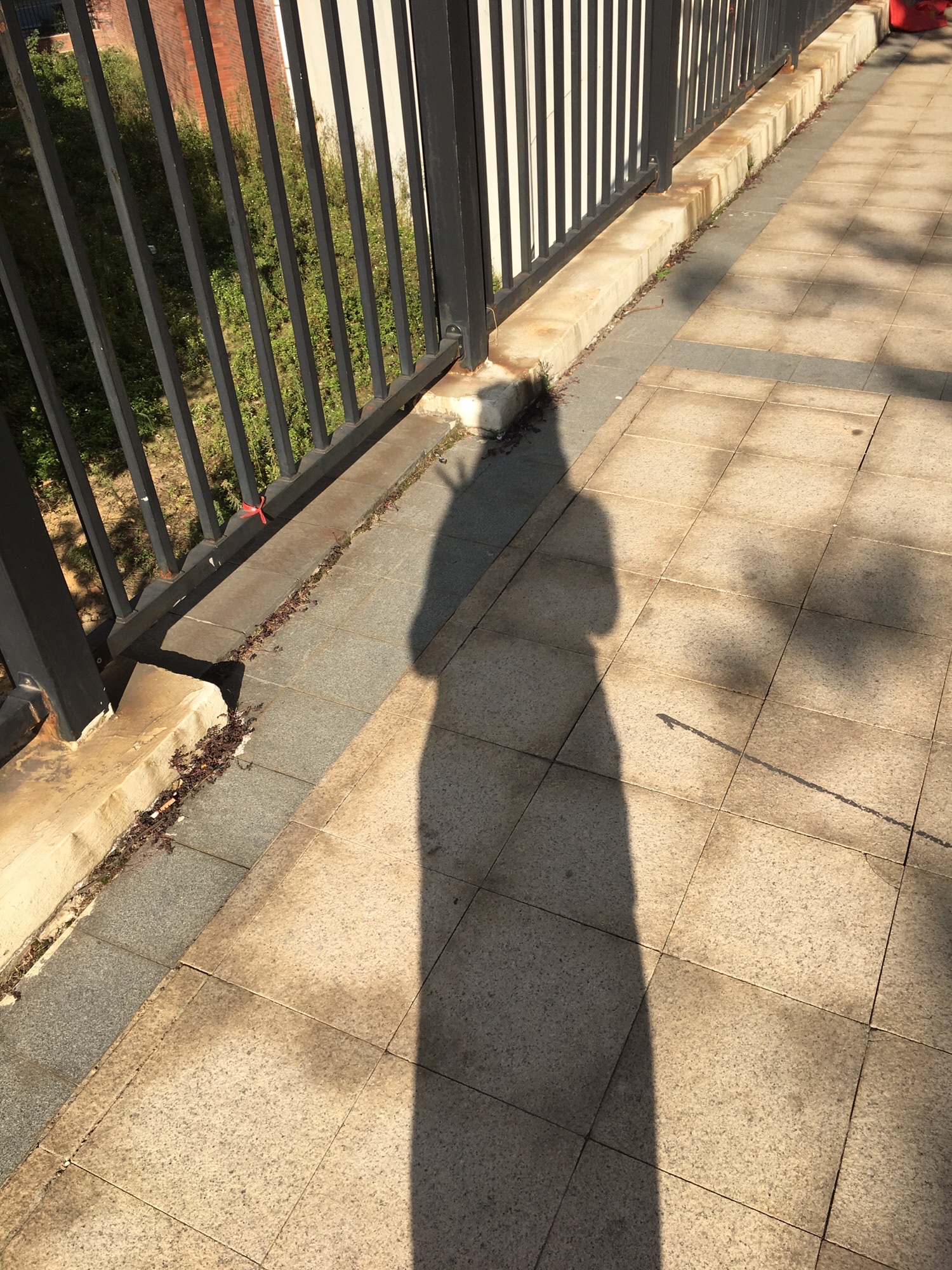西山公园旅行图片 2