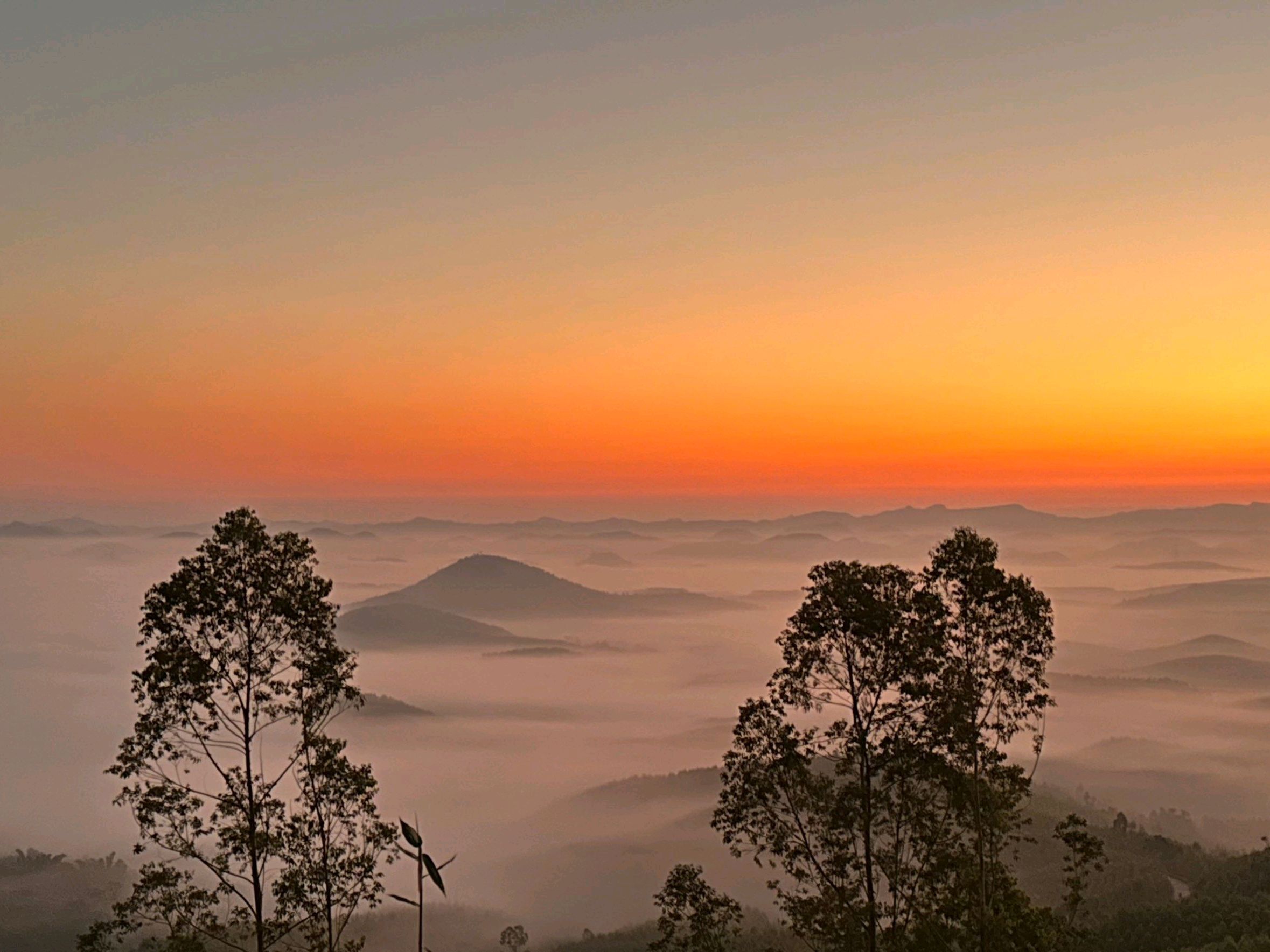 山岔湾景区旅行图片 2