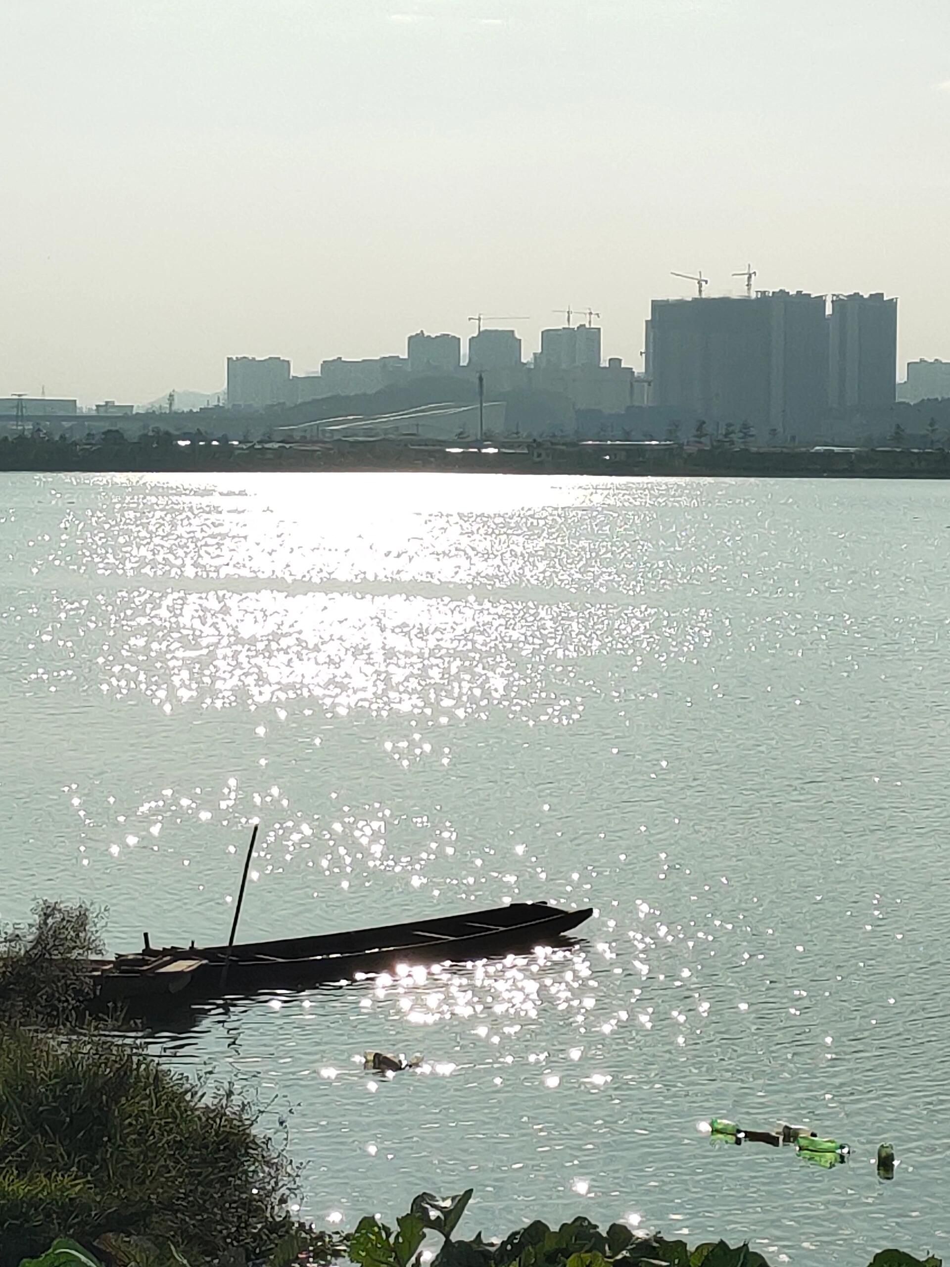 苍海湖园博园旅行图片 1