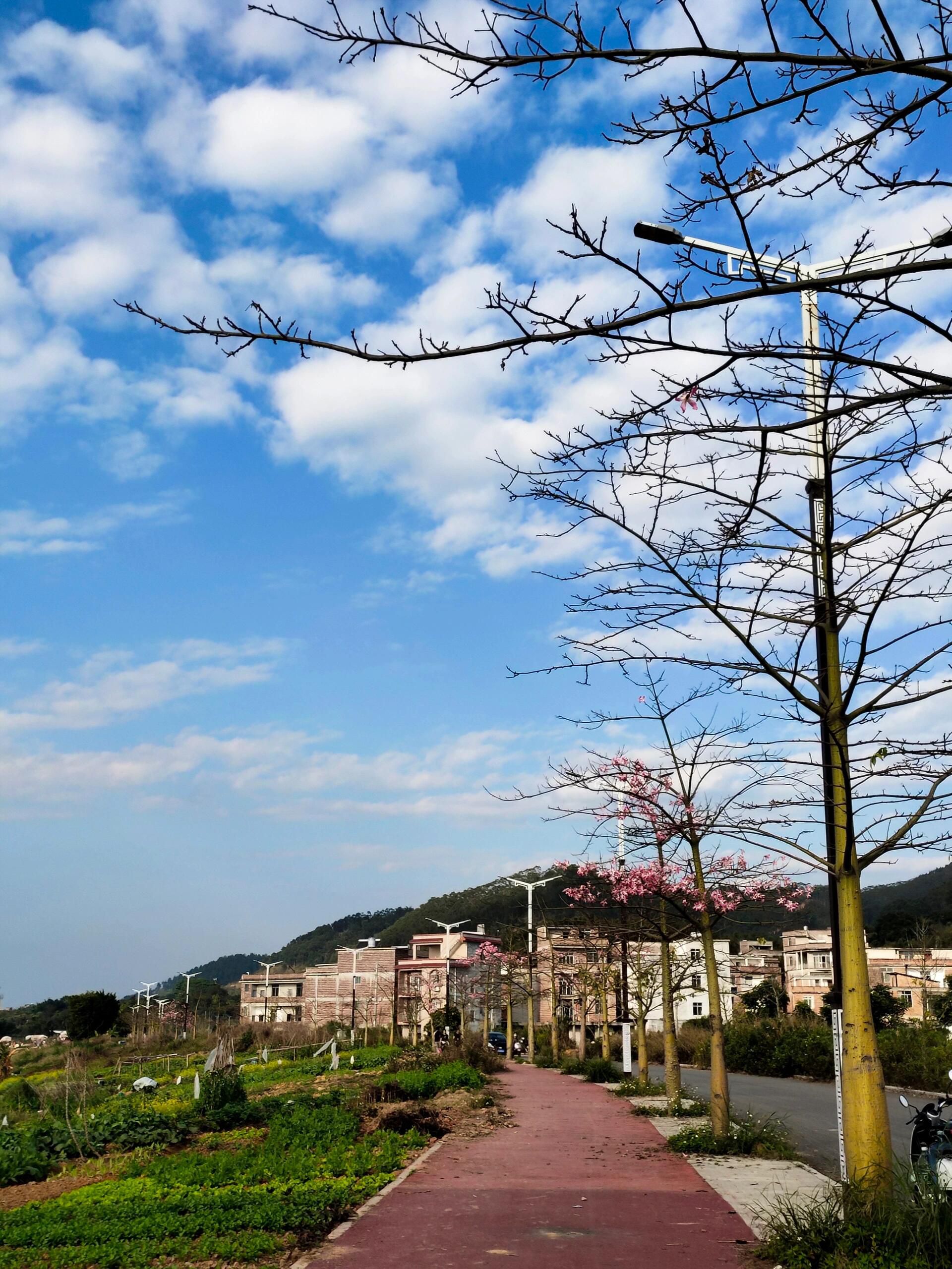 苍海湖园博园旅行图片 3
