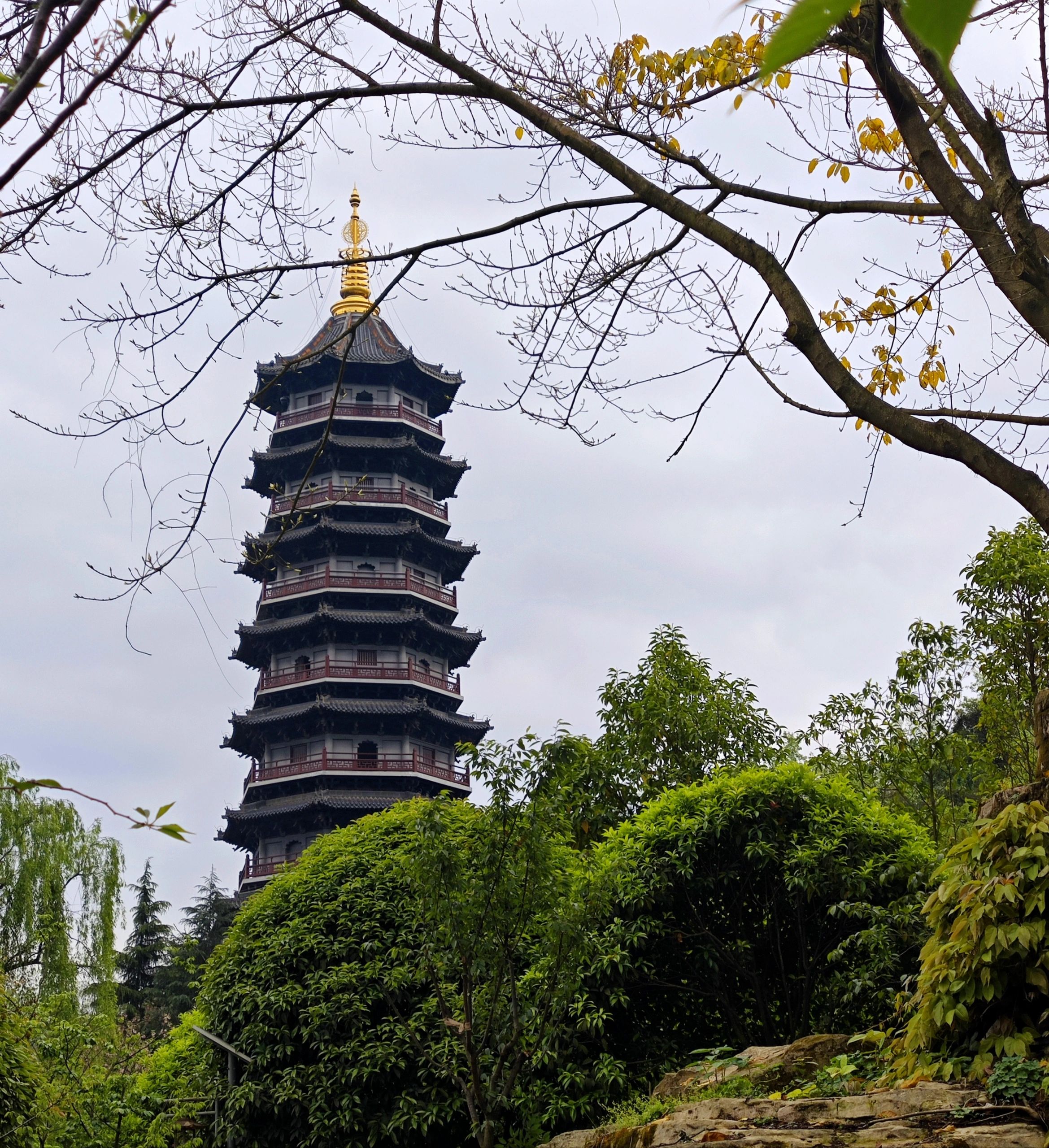 苍海湖园博园旅行图片