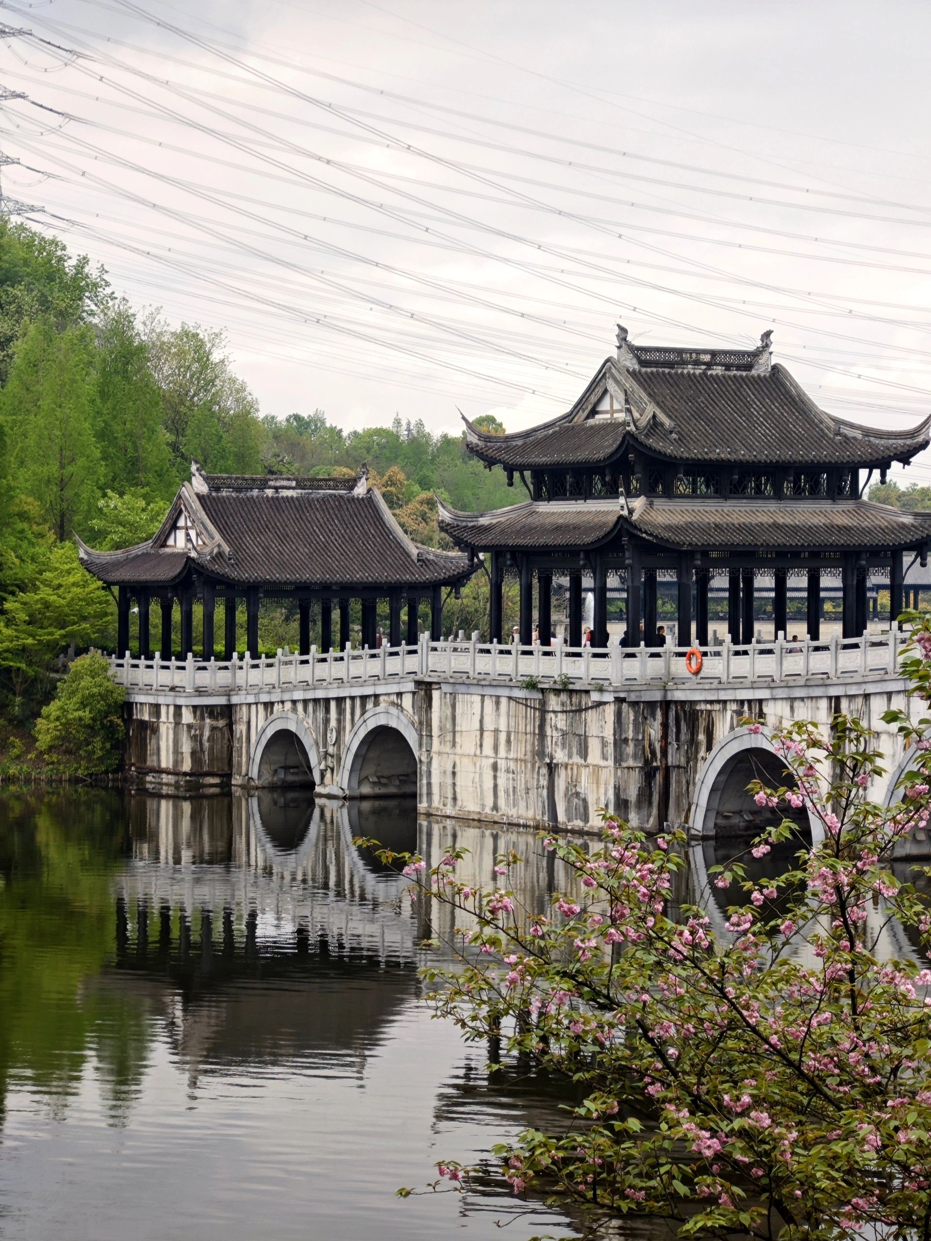 苍海湖园博园旅行图片 3