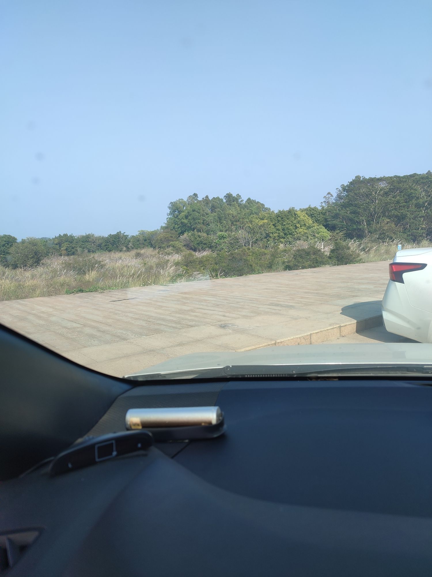 滨江体育休闲公园旅行图片 2