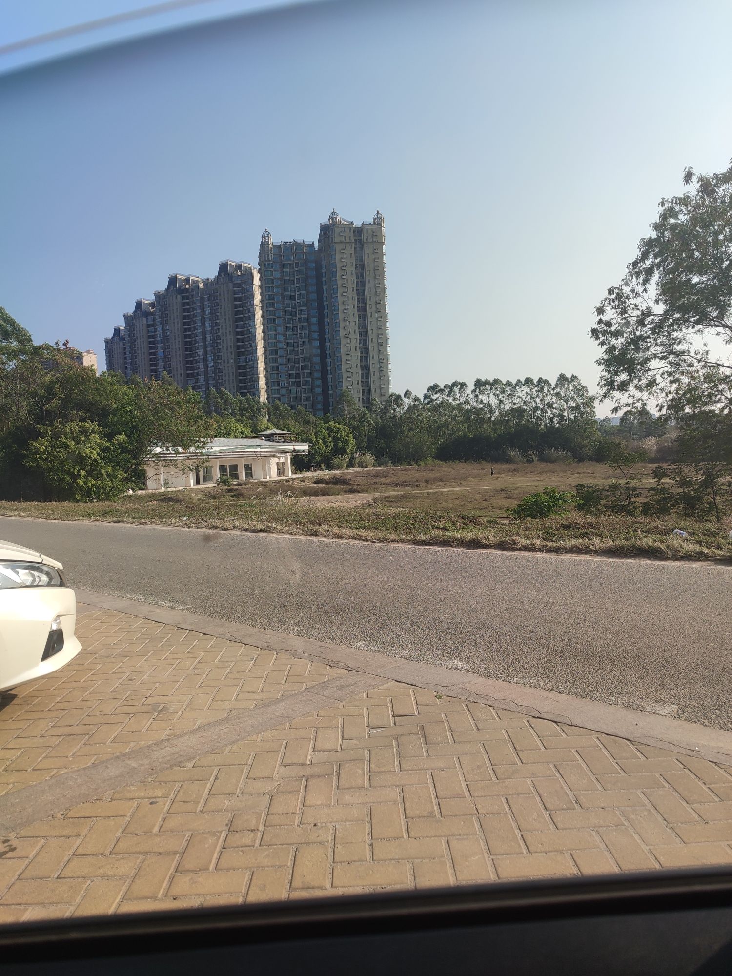 滨江体育休闲公园旅行图片 3