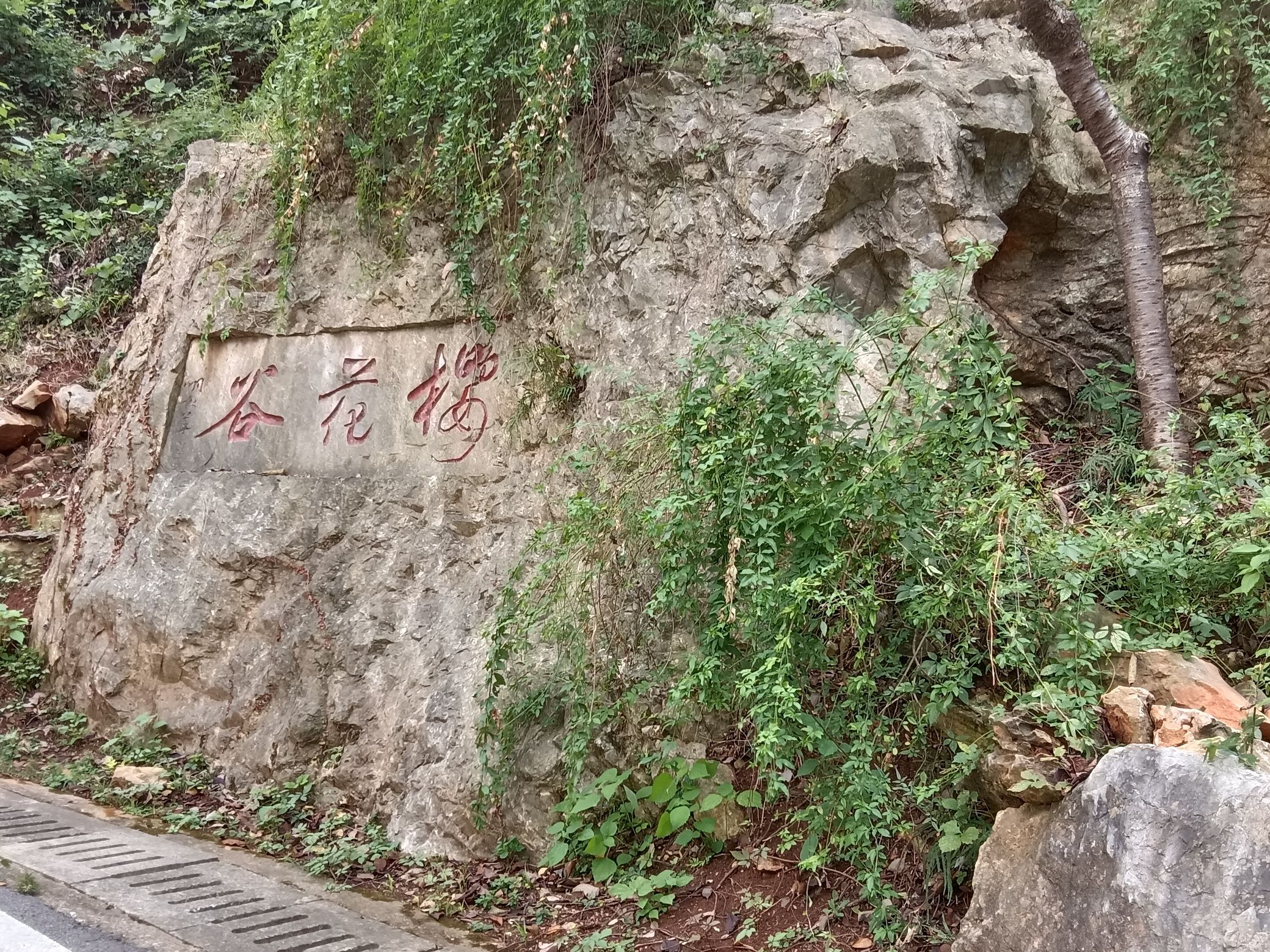 柯尔山公园旅行图片 1