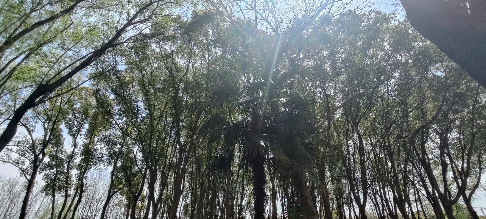 姚家荡公园旅行图片 3