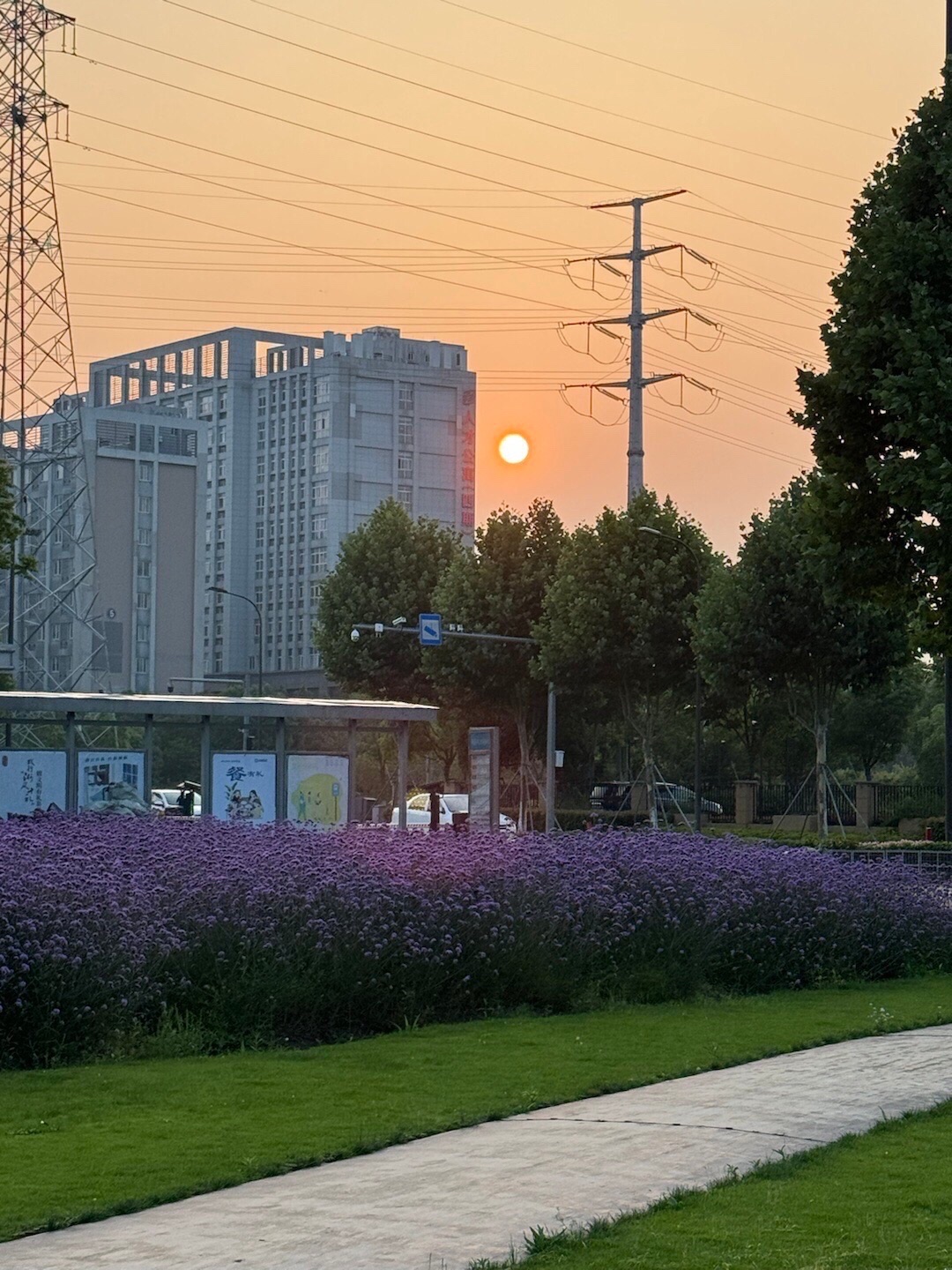 姚家荡公园旅行图片 3