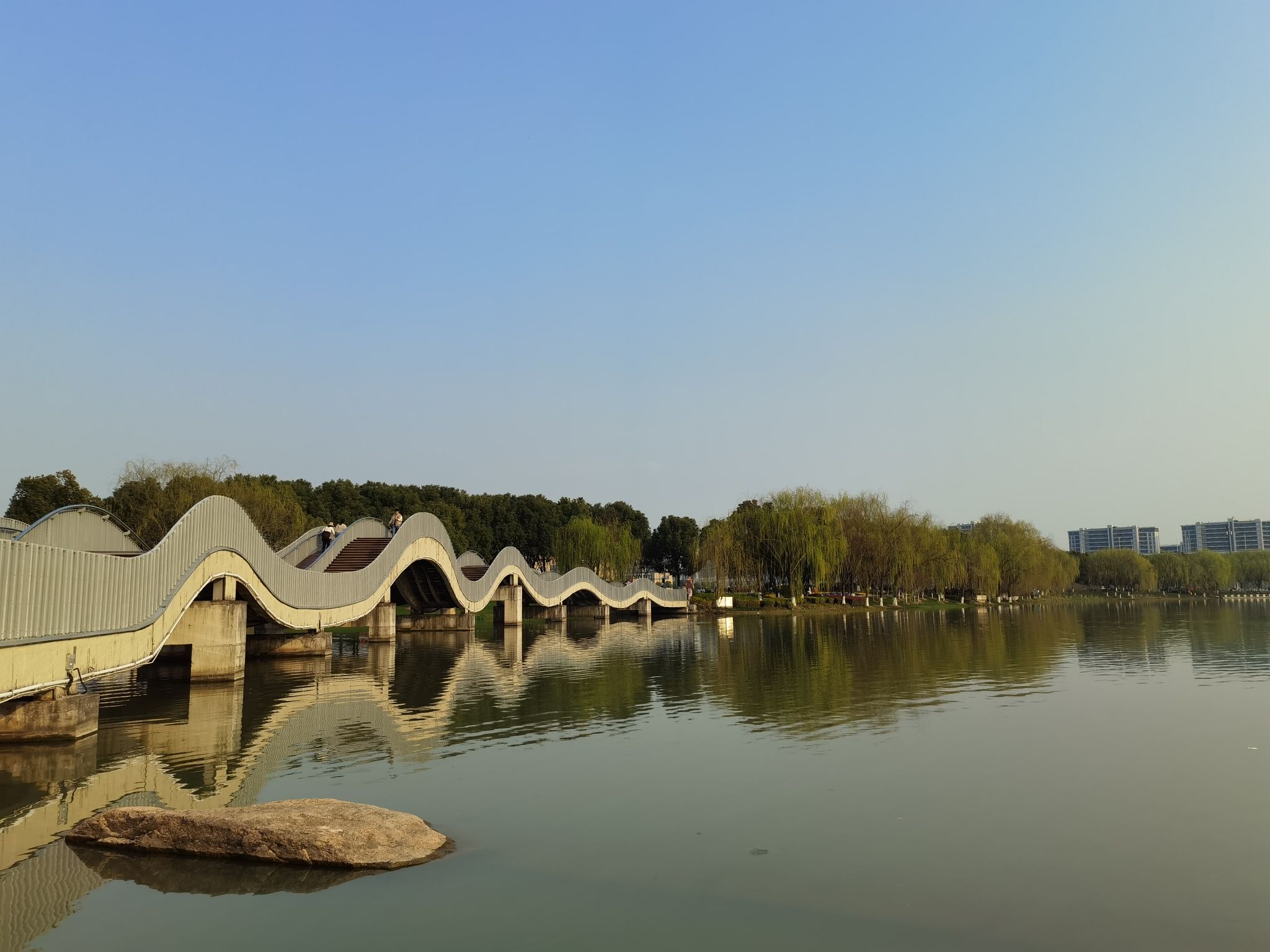 姚家荡公园旅行图片 1