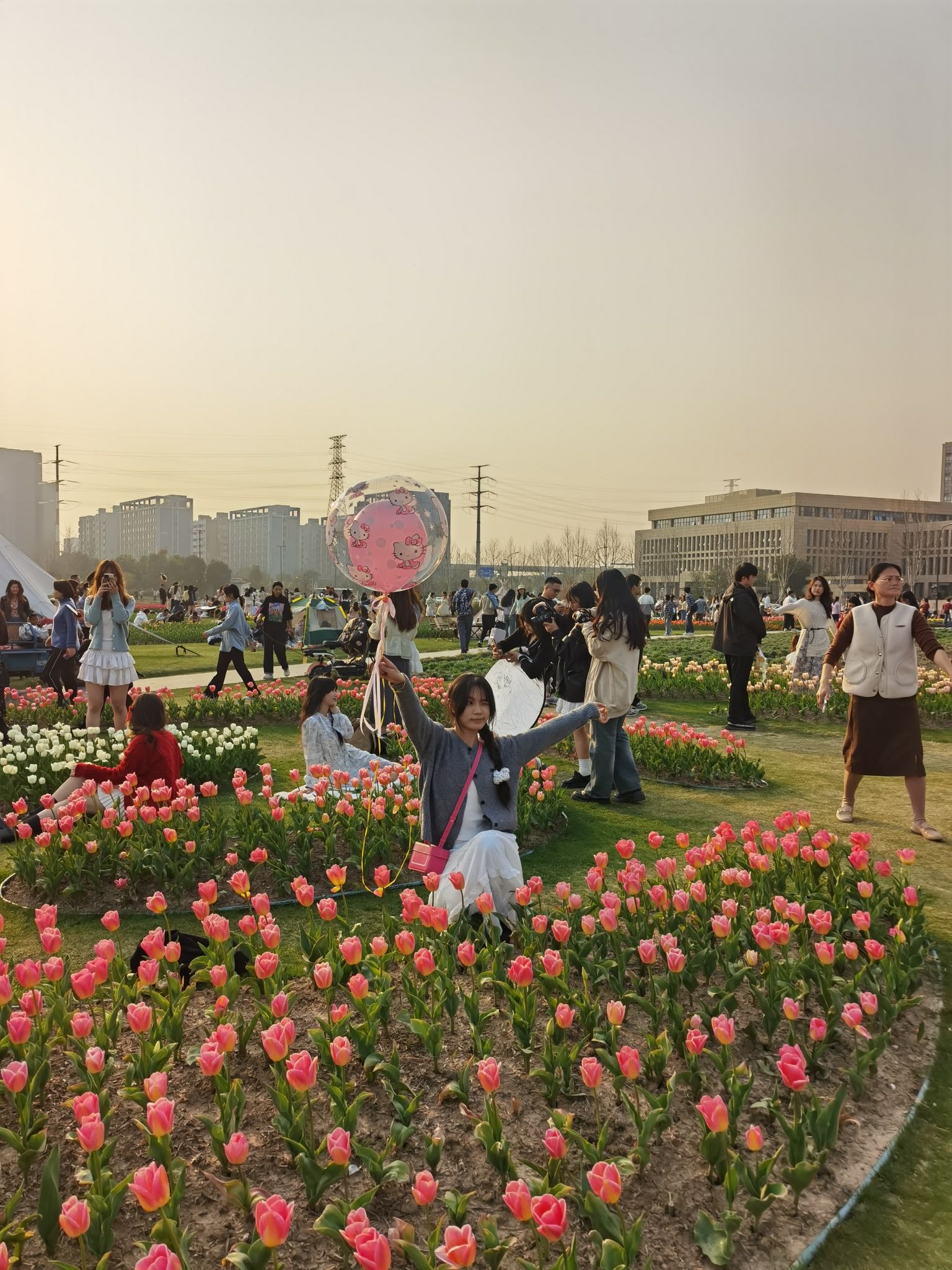 姚家荡公园旅行图片 2