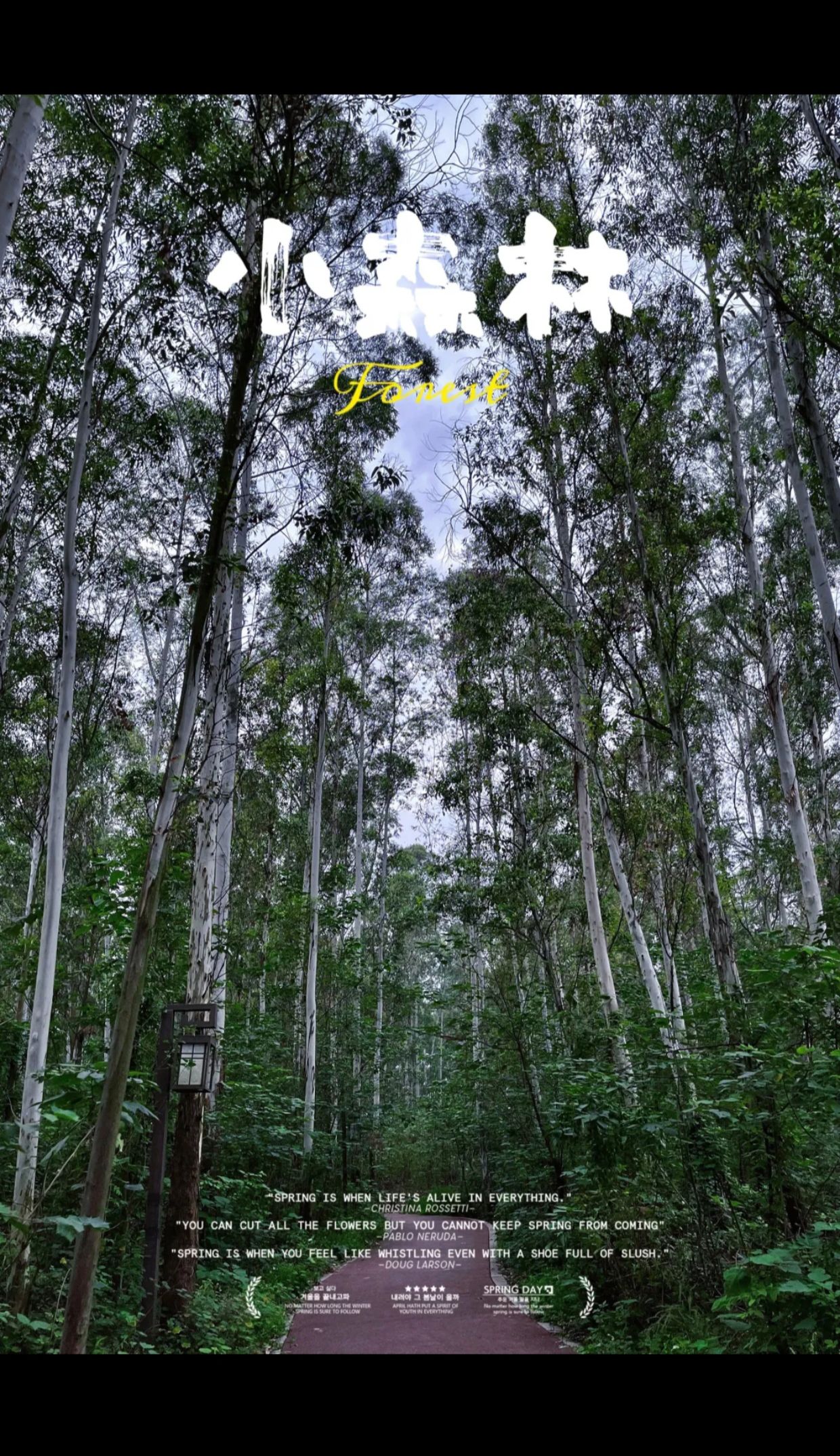 西山森林公园旅行图片 1