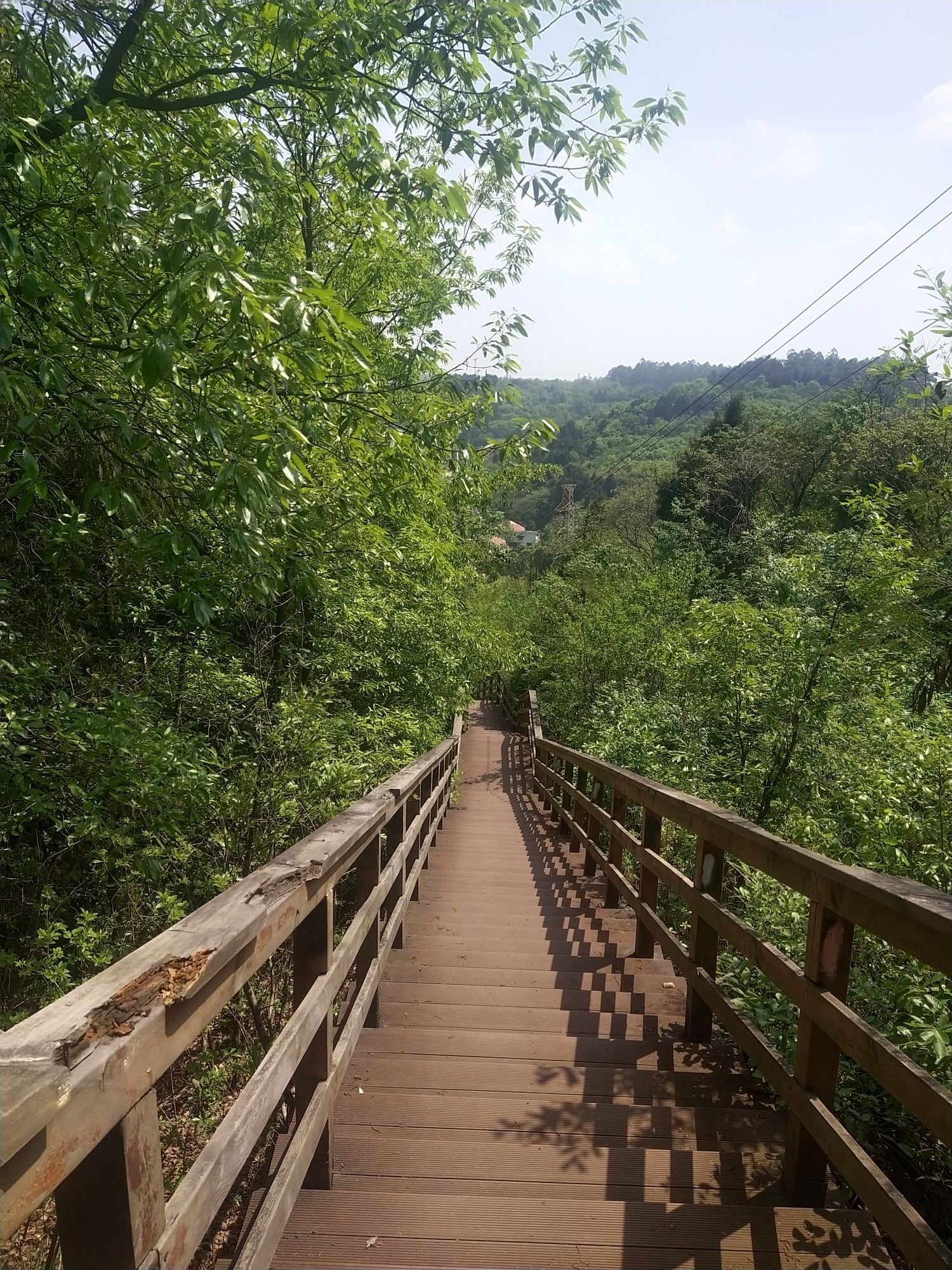 西山森林公园