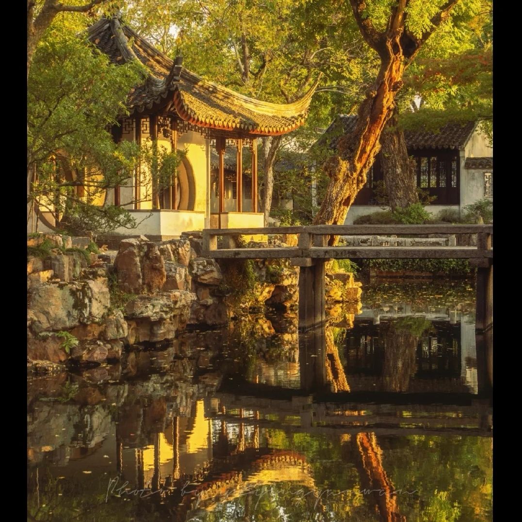 西山森林公园旅行图片 1