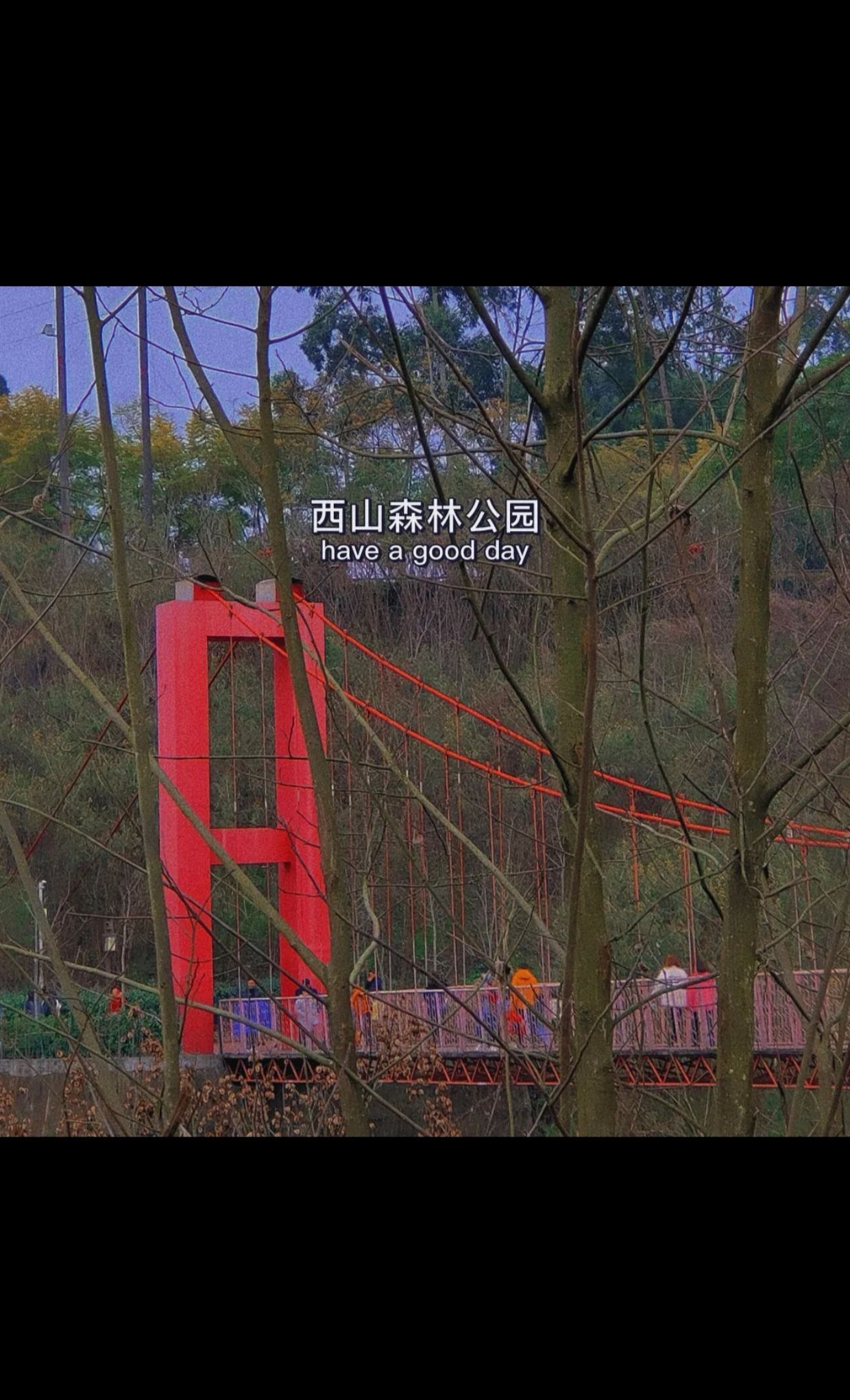 西山森林公园旅行图片 2