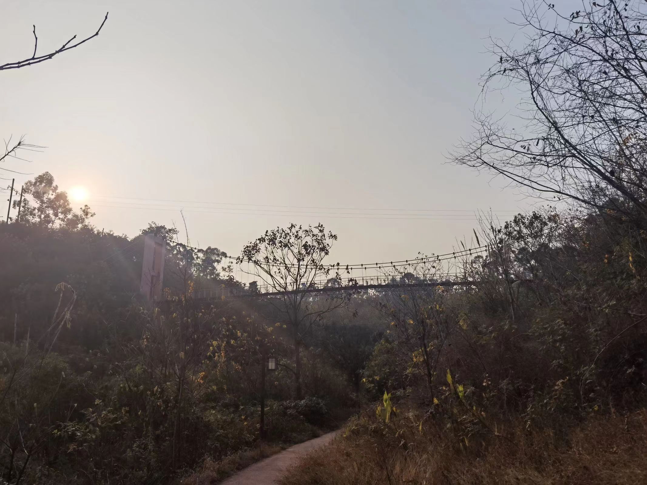 西山森林公园旅行图片 1
