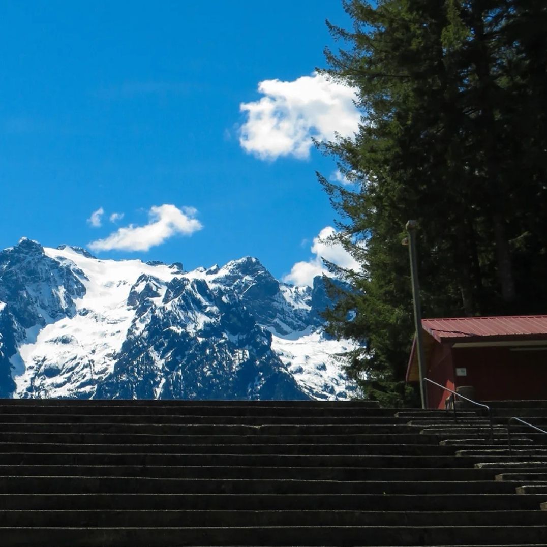 西山森林公园旅行图片 3
