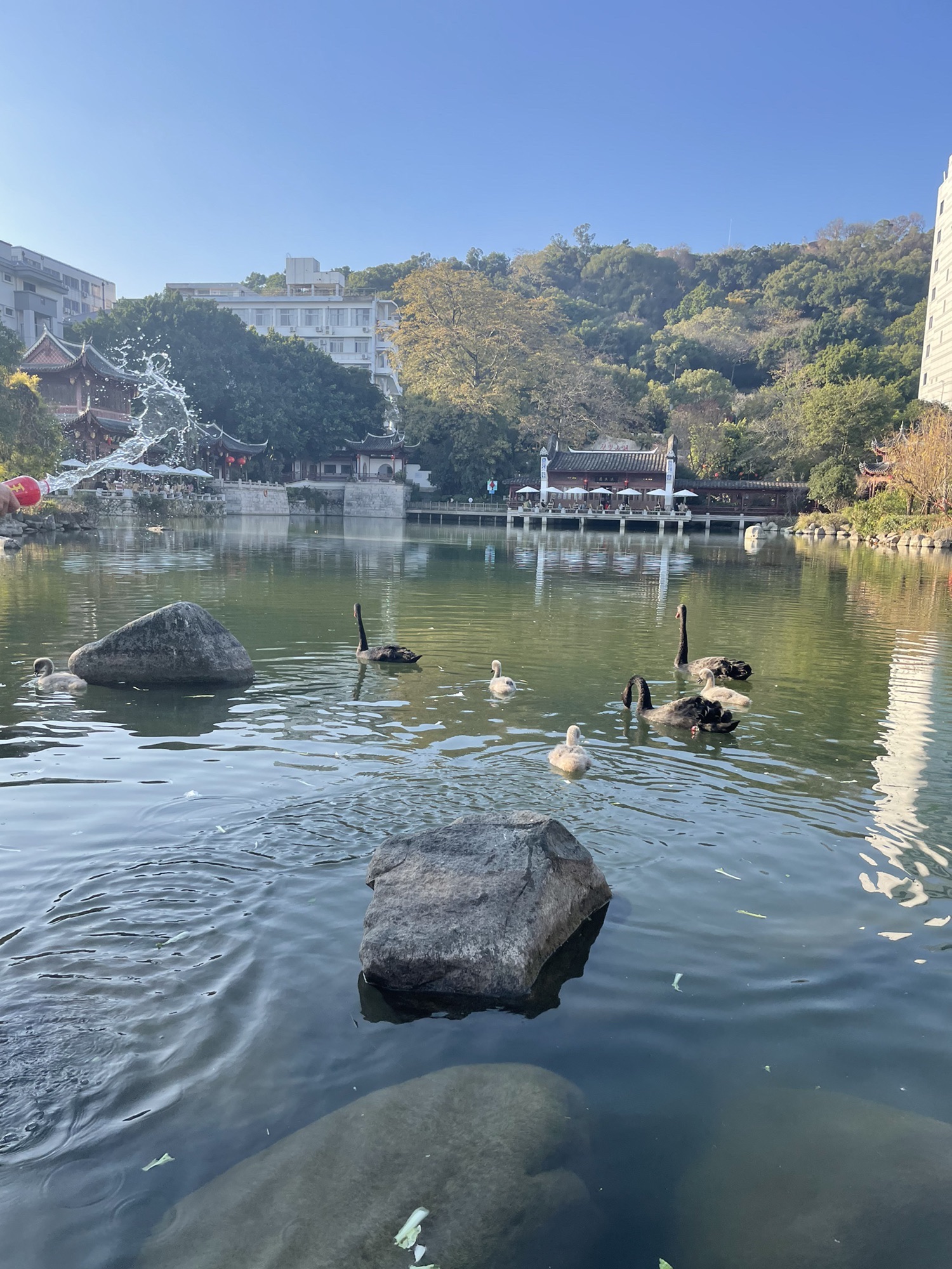 黎明湖公园旅行图片 3