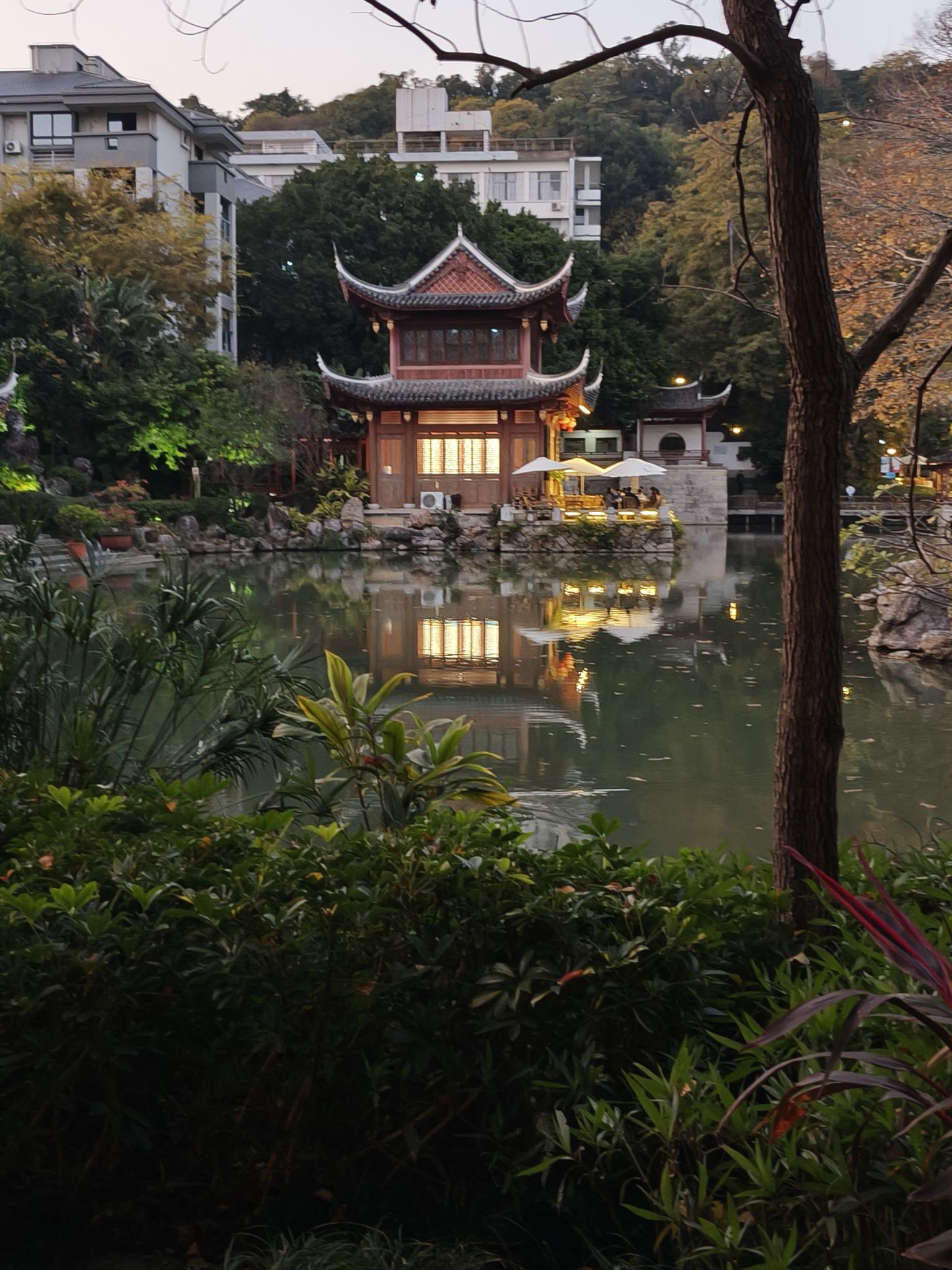 黎明湖公园旅行图片 3