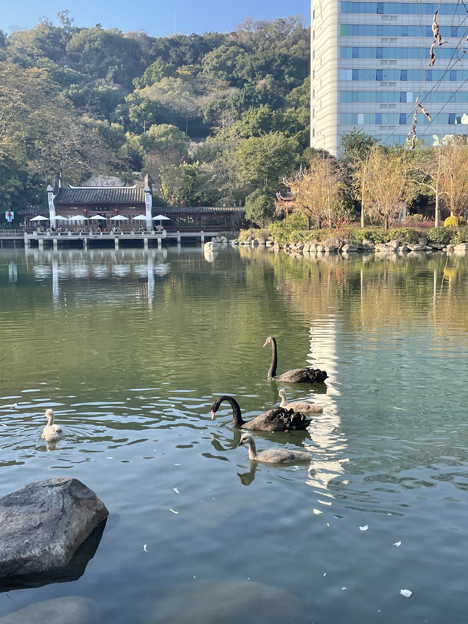 黎明湖公园旅行图片 2