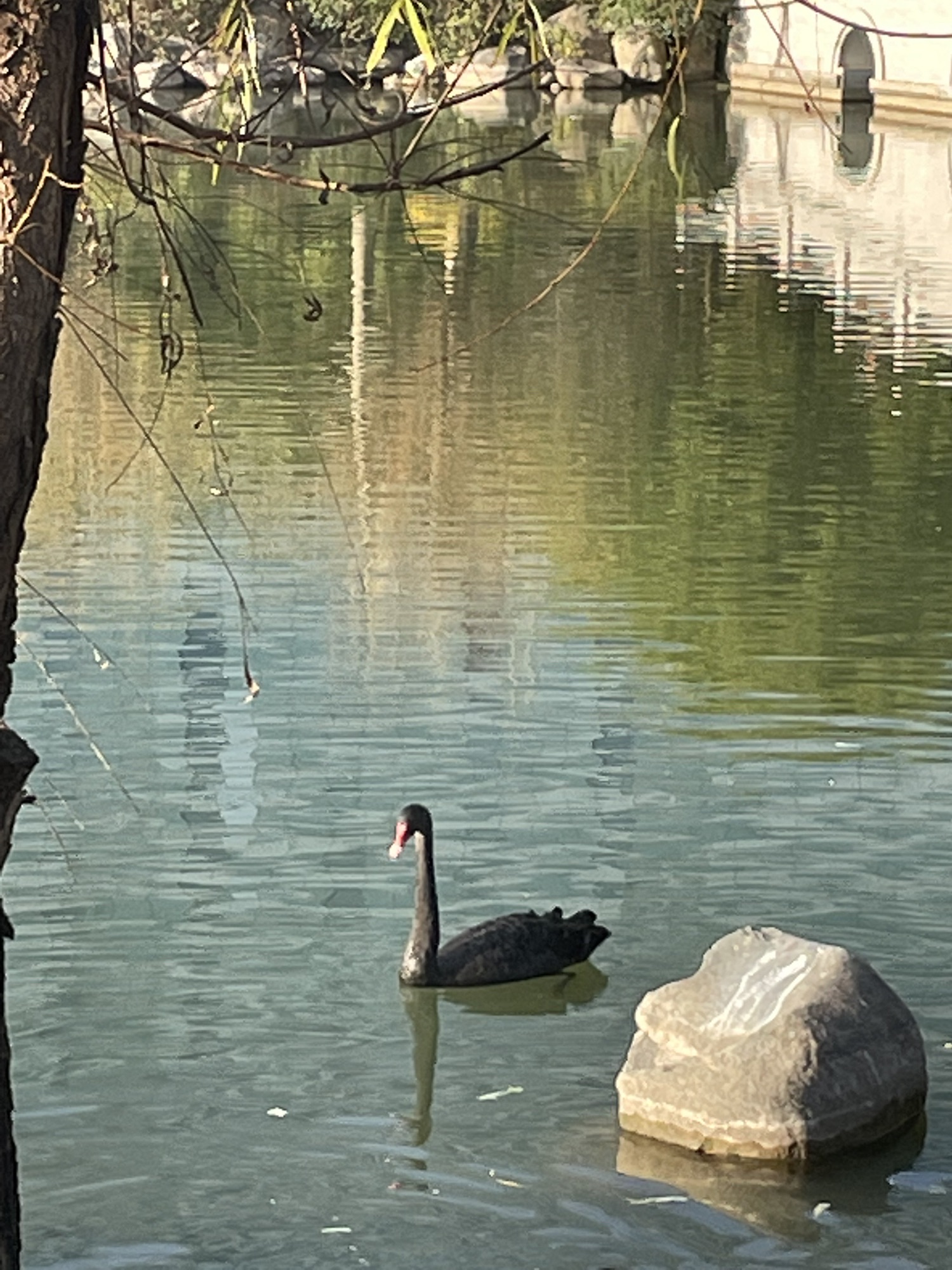 黎明湖公园旅行图片 1