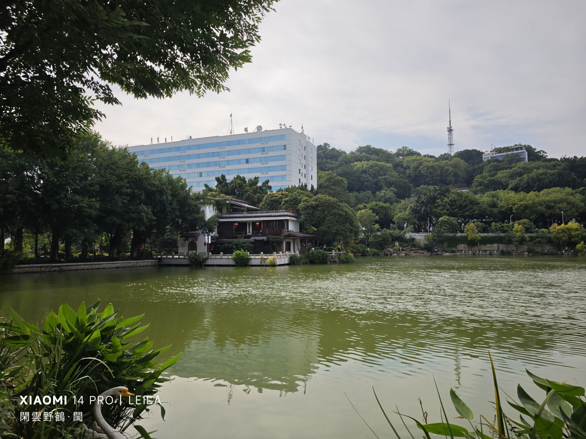 黎明湖公园旅行图片 3