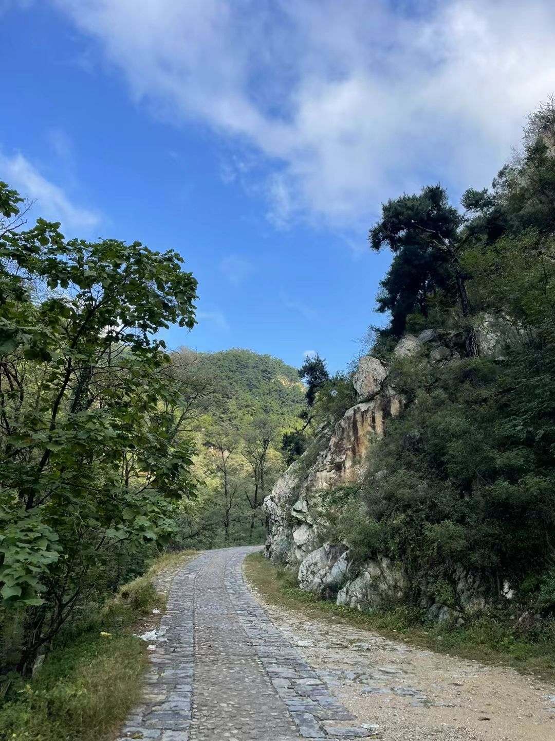 望岱门旅行图片 1