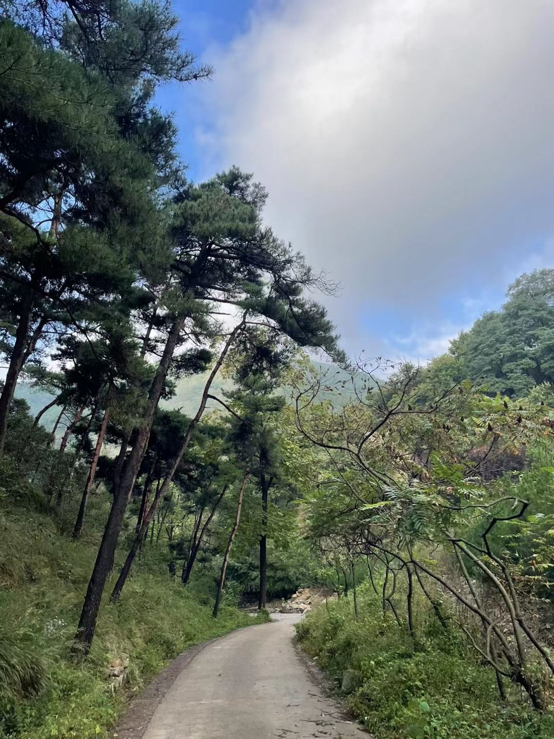望岱门旅行图片 2