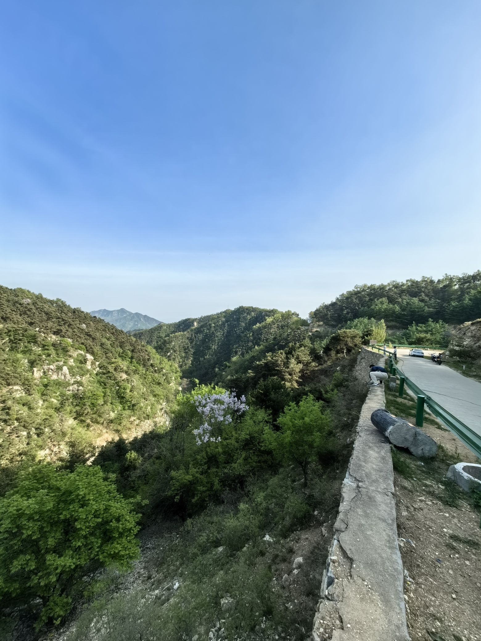 望岱门旅行图片 2