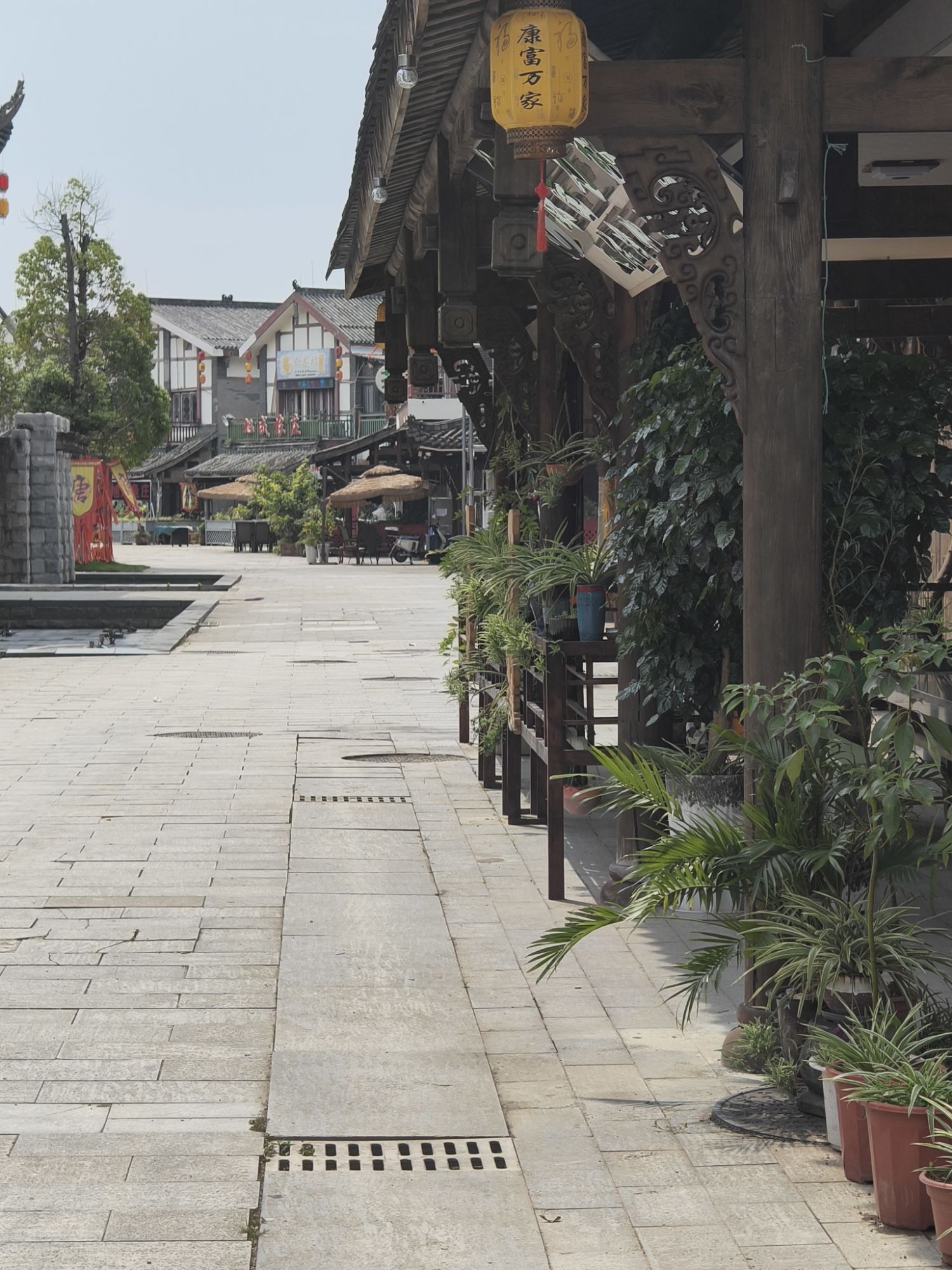 西部唐都旅行图片 3