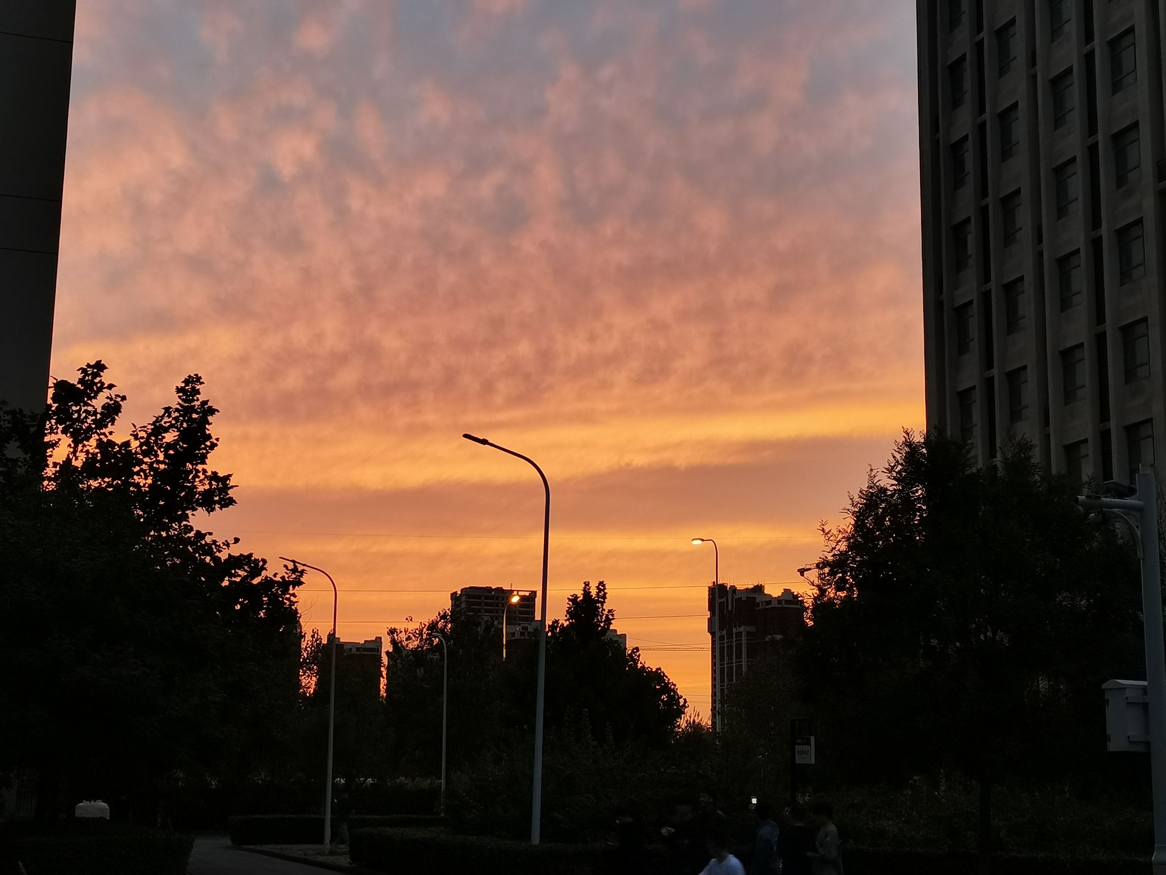 三矿广场旅行图片 1