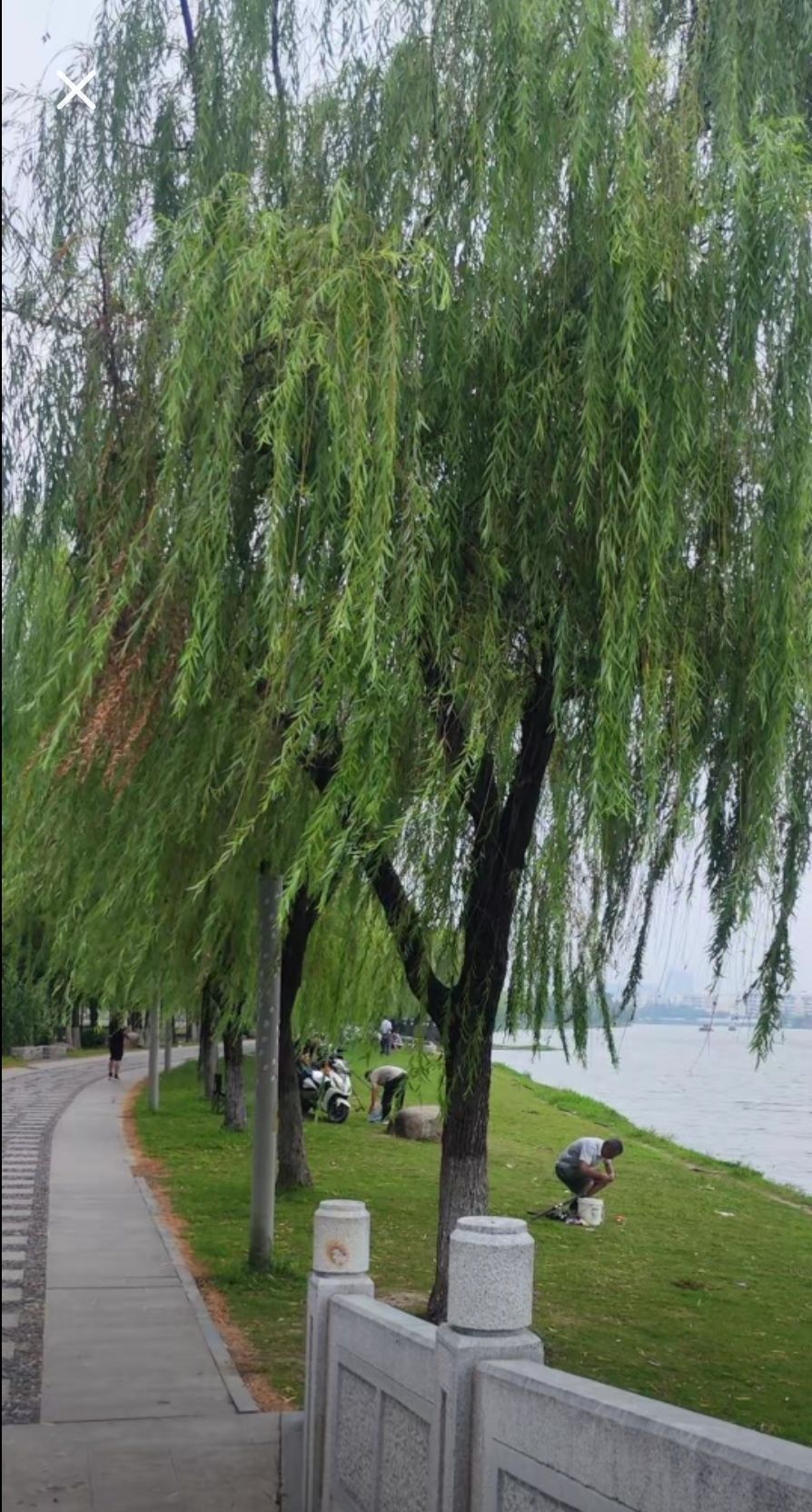 滁河风光带旅行图片 2