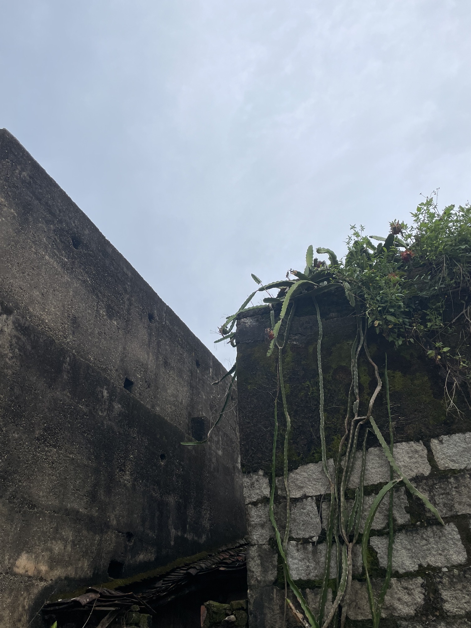 南山古寨旅行图片 3