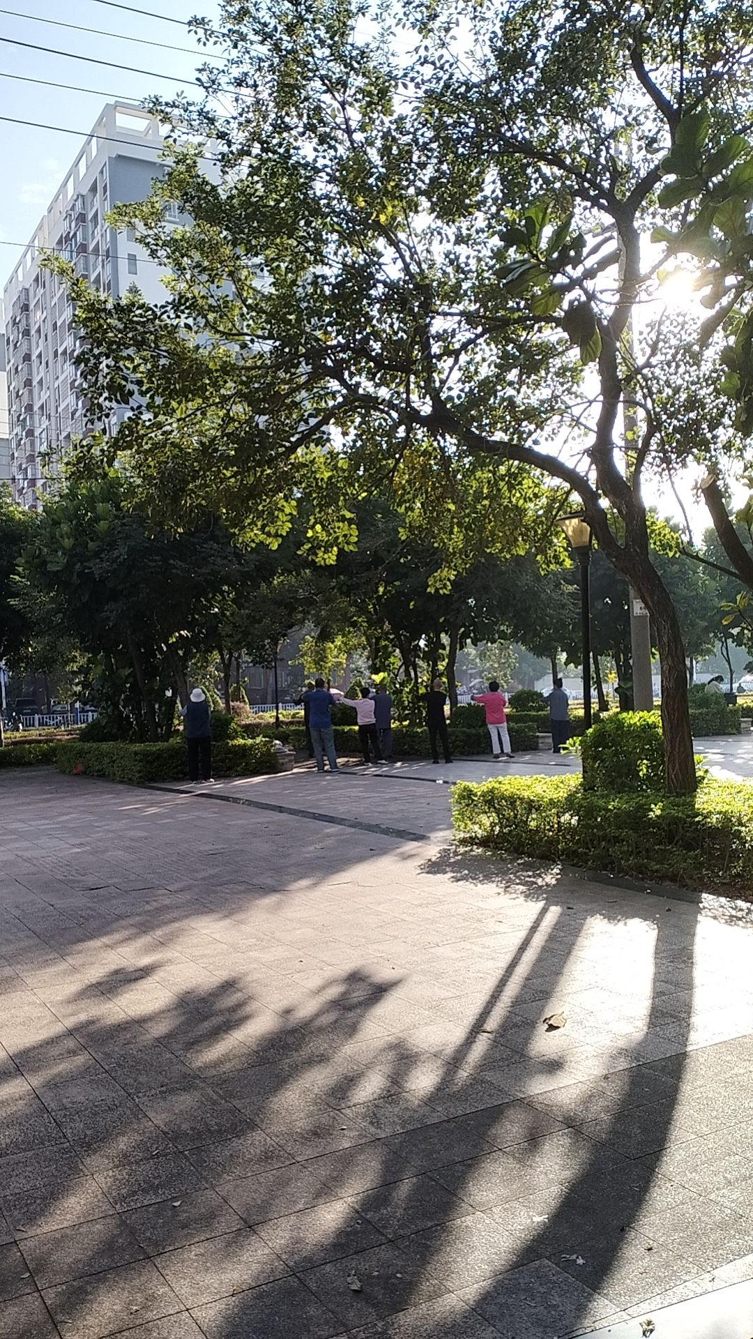 西藏路带状公园旅行图片 2