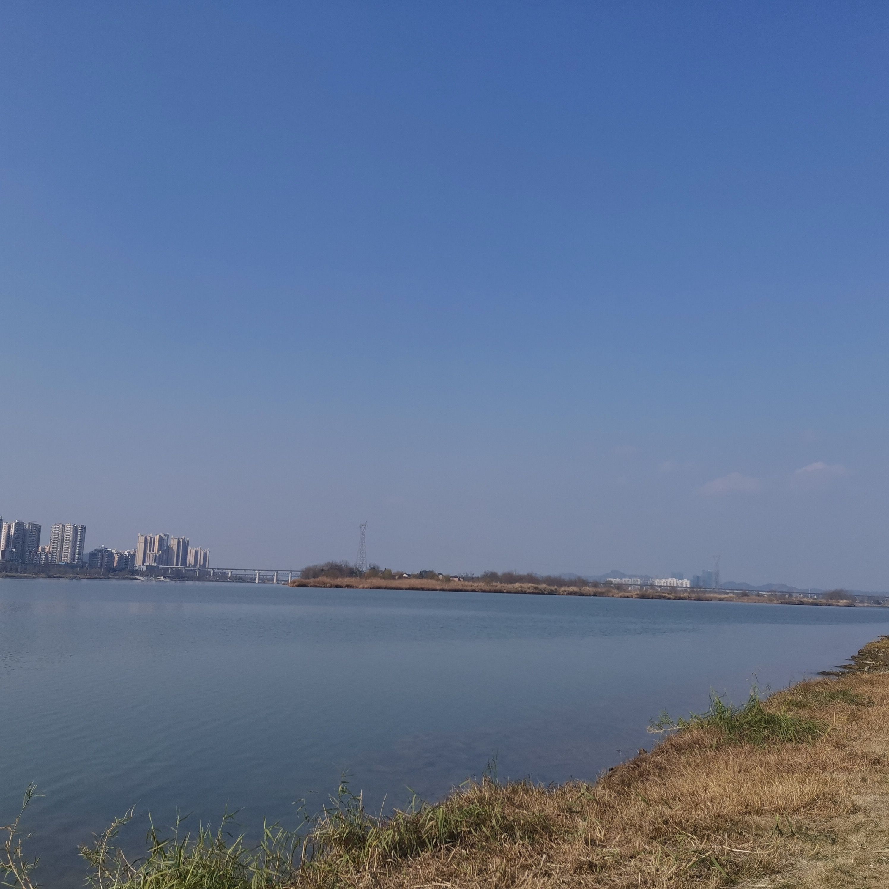 五彩缤纷湿地公园旅行图片 1