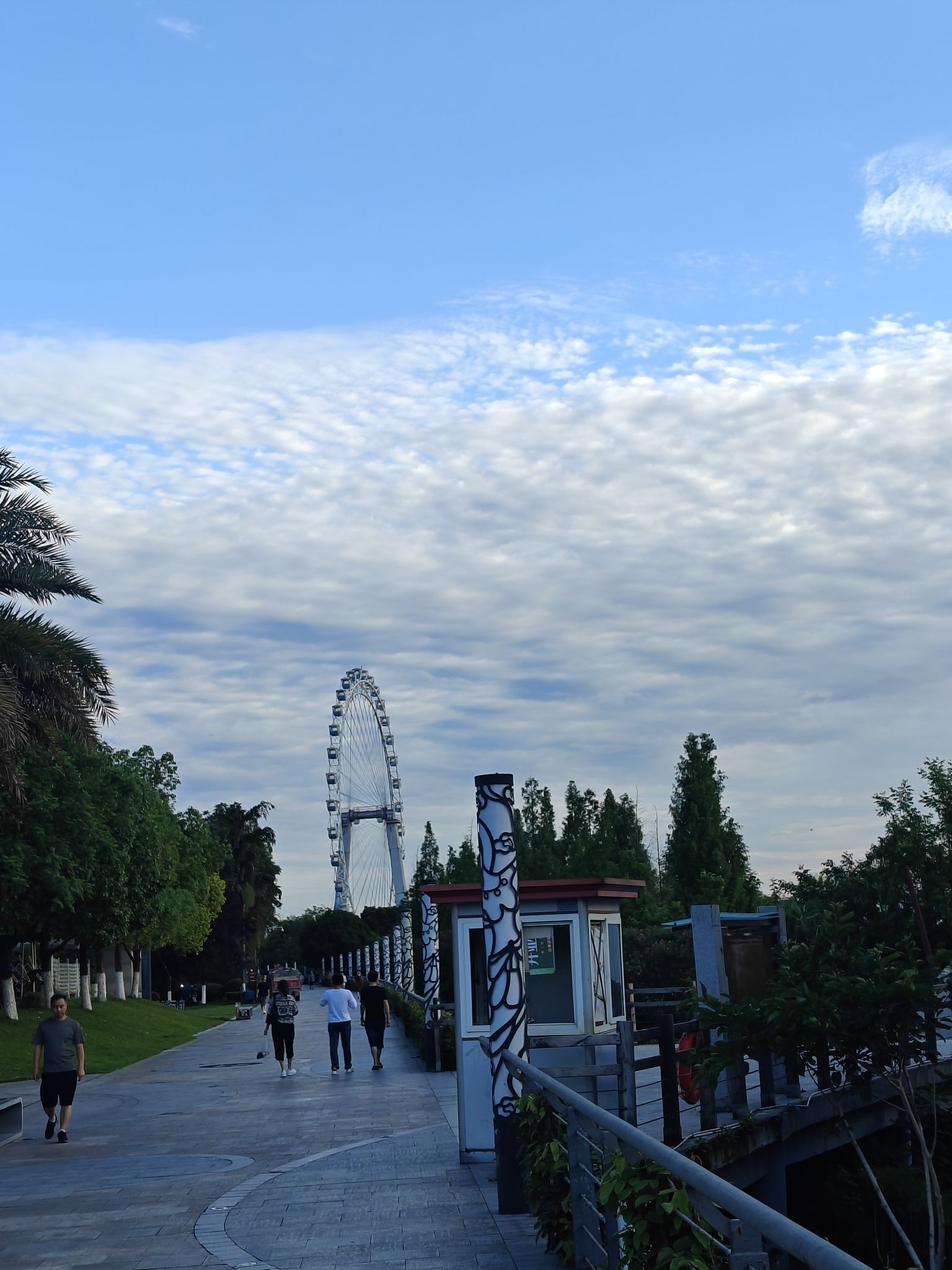 五彩缤纷湿地公园旅行图片 3
