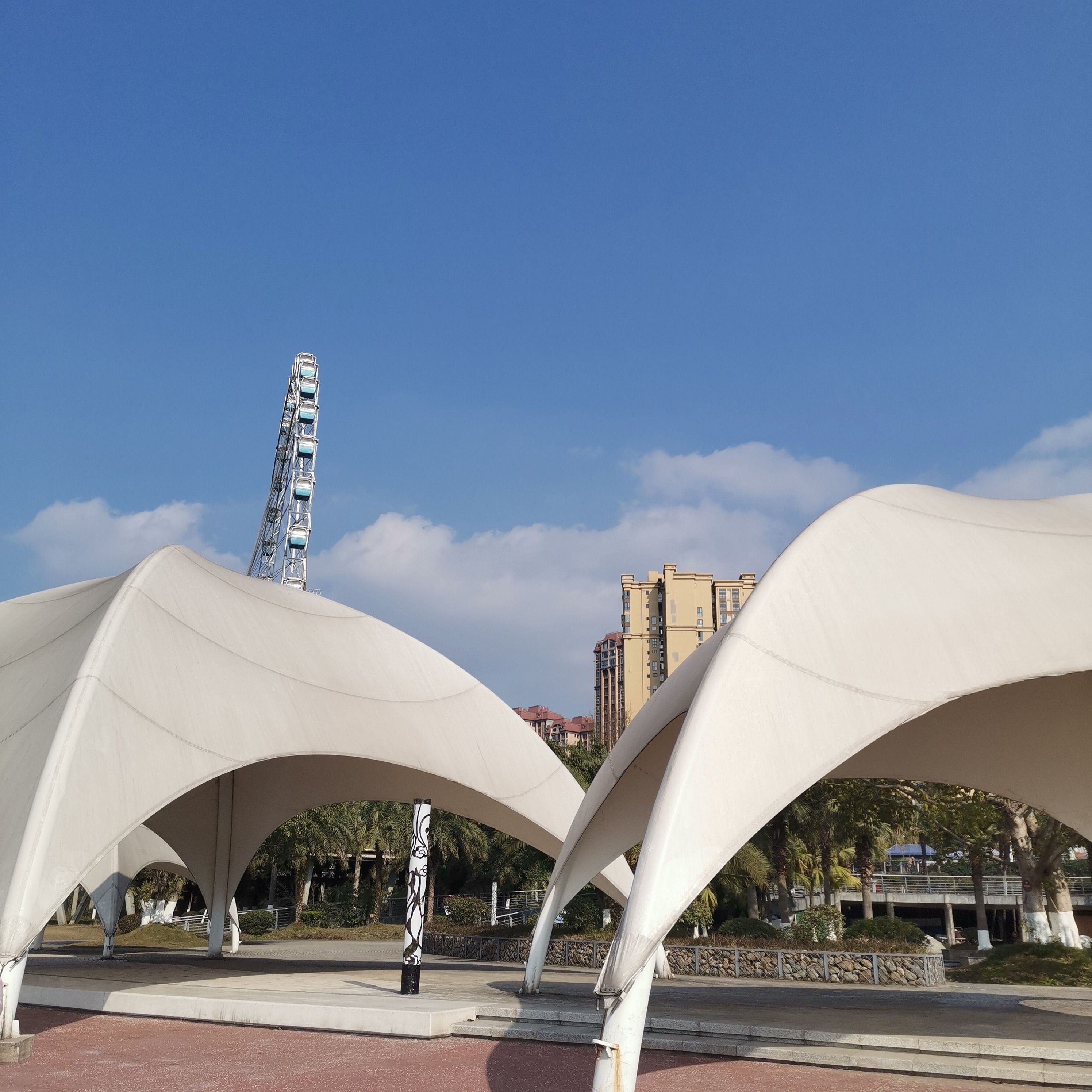 五彩缤纷湿地公园旅行图片 3