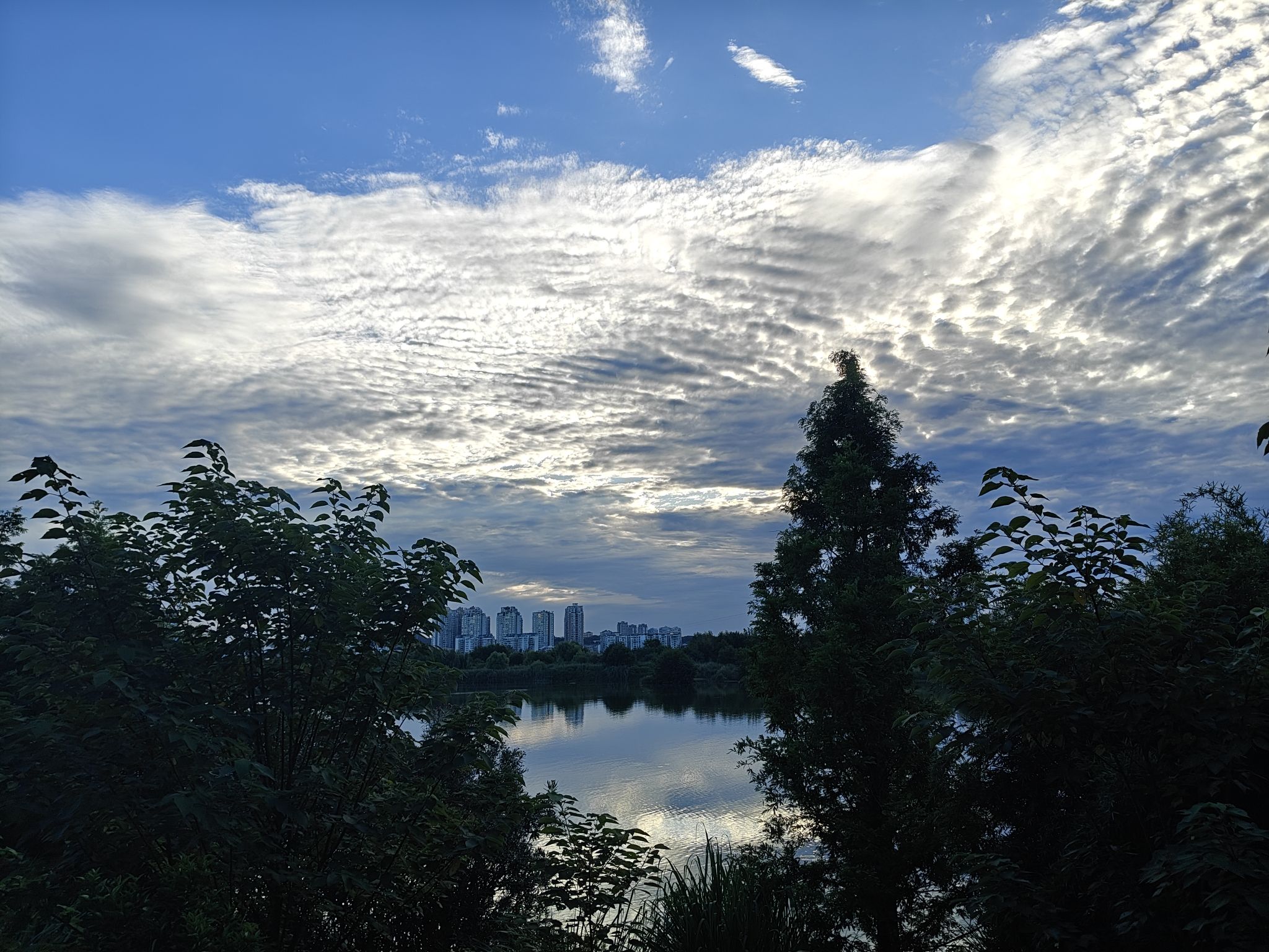 五彩缤纷湿地公园旅行图片 2