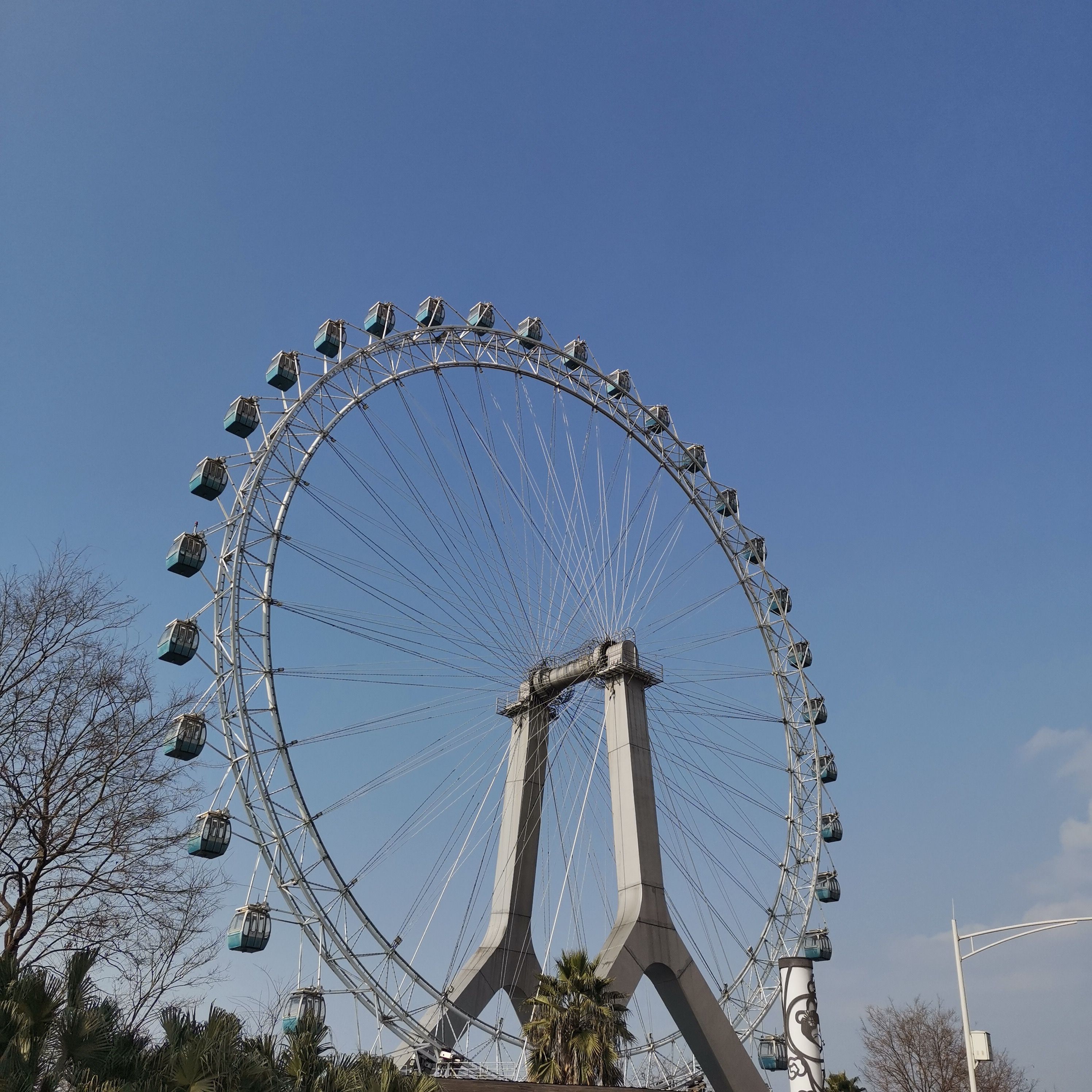 五彩缤纷湿地公园旅行图片 2