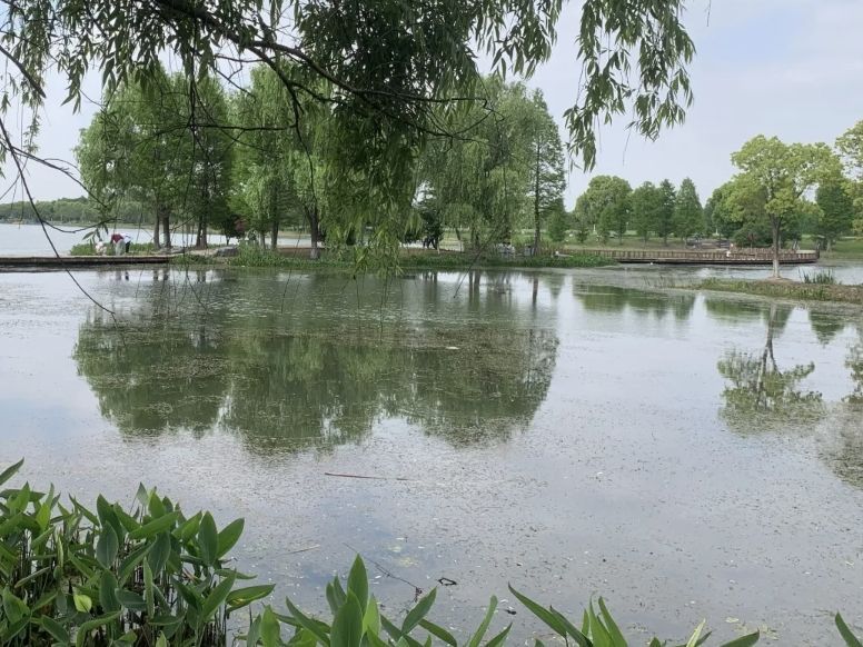 璜石湖公园旅行图片 3