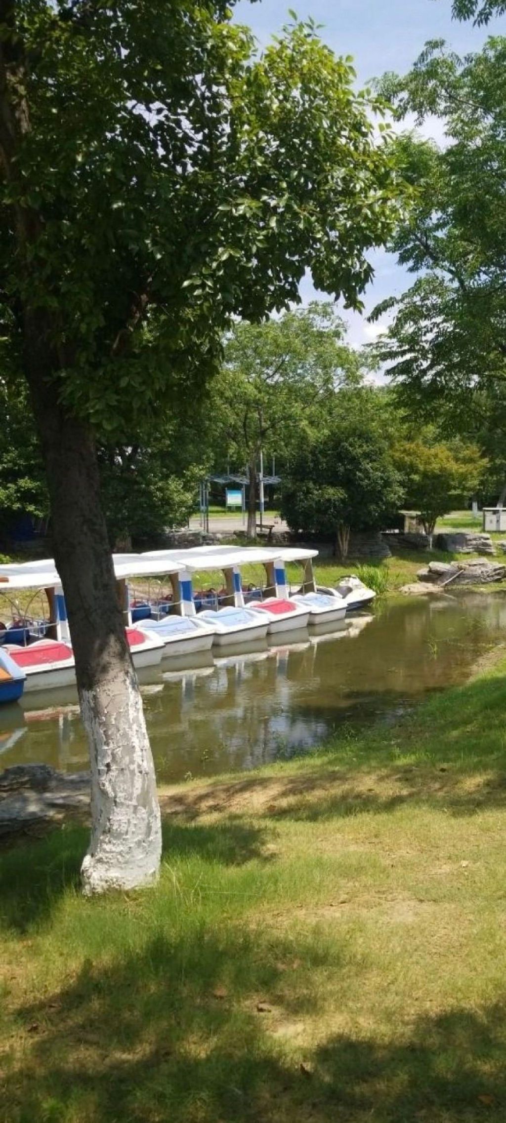璜石湖公园旅行图片 1