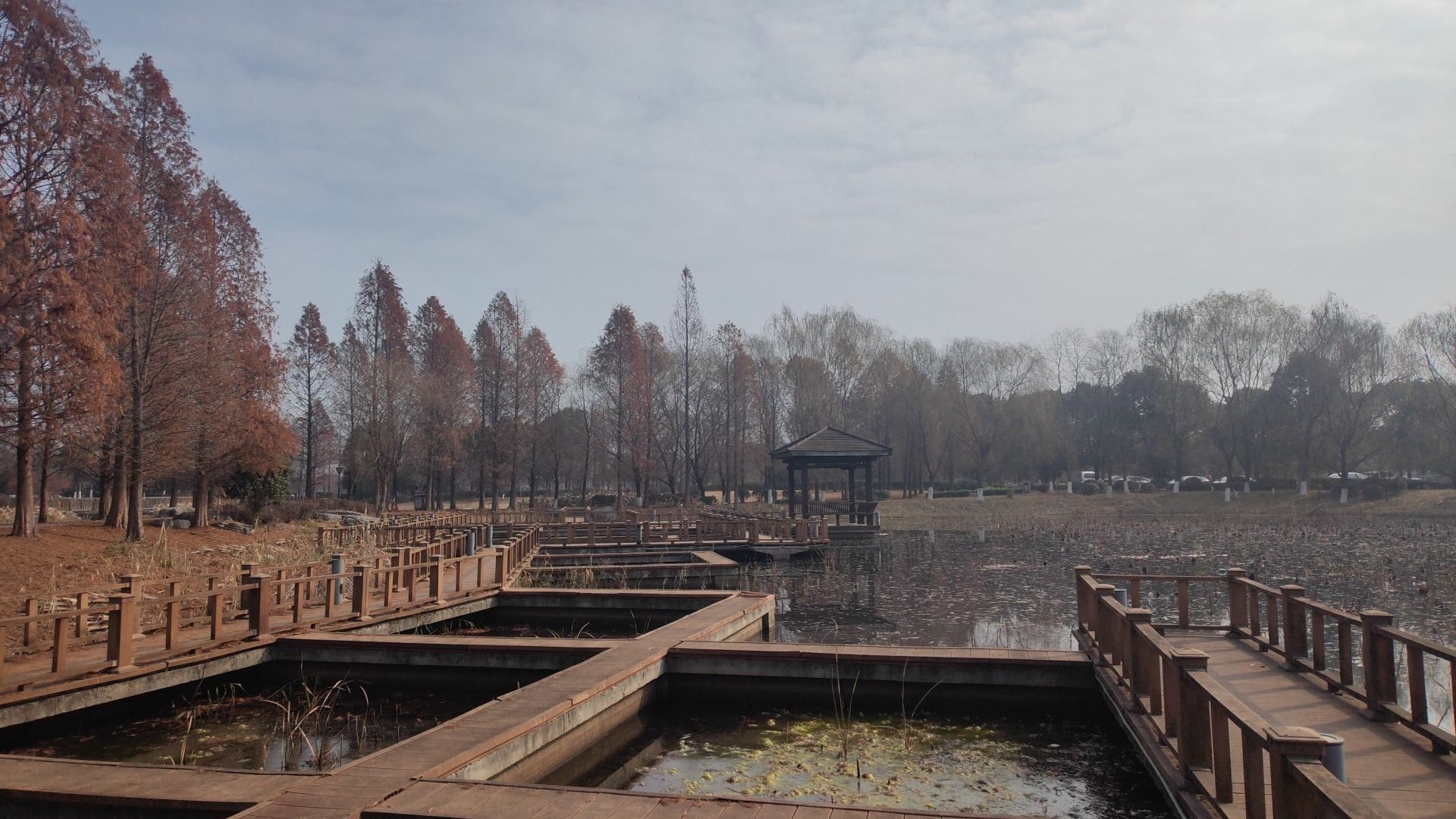 璜石湖公园旅行图片 1