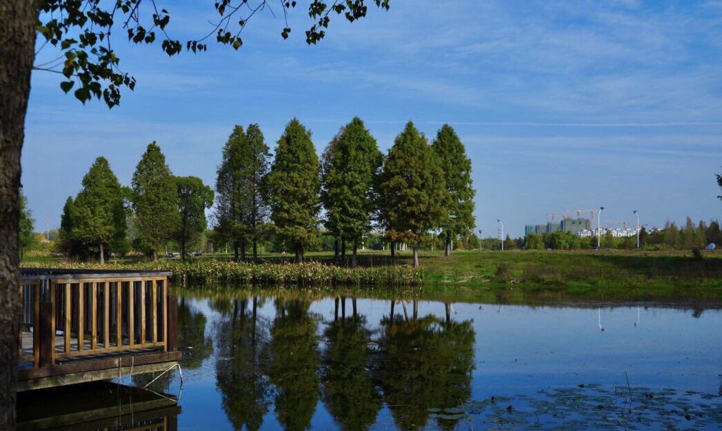璜石湖公园旅行图片 1