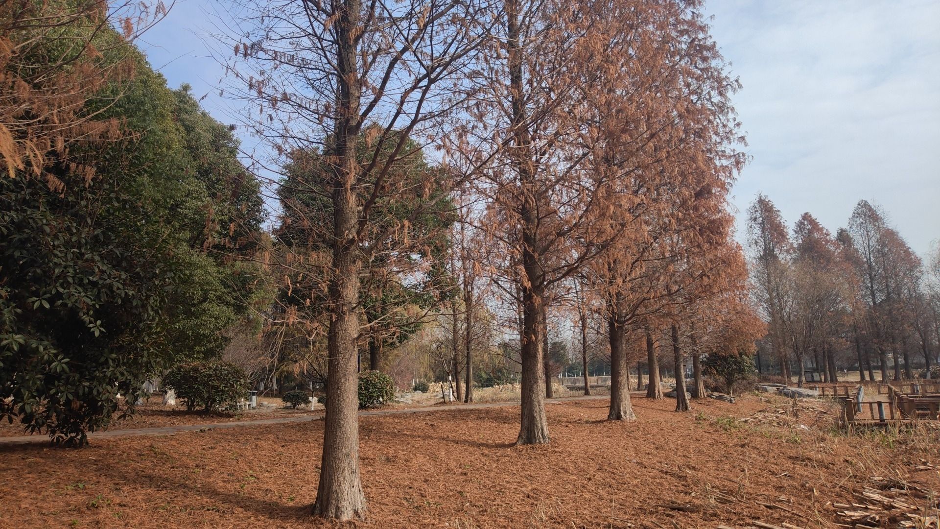 璜石湖公园旅行图片 3
