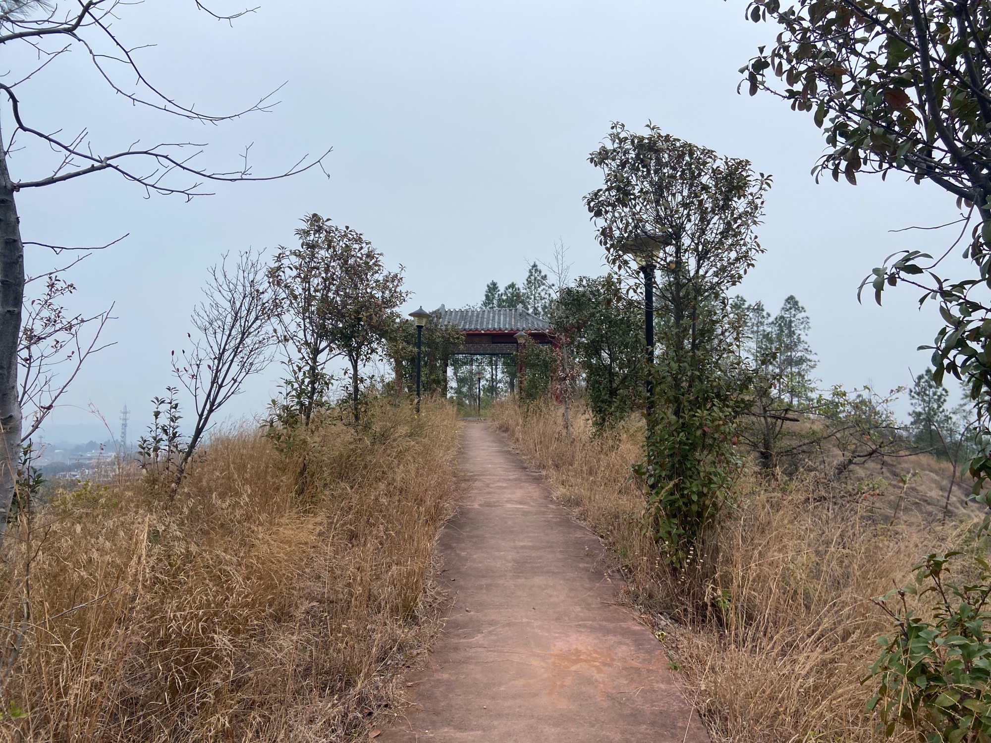 江口会议纪念公园旅行图片 2