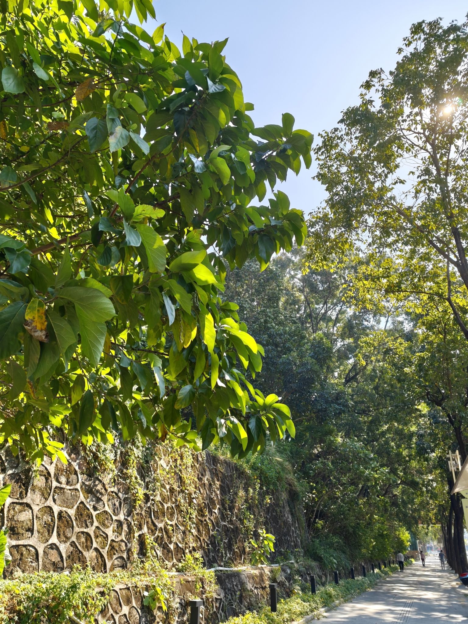 启明里旅行图片 3
