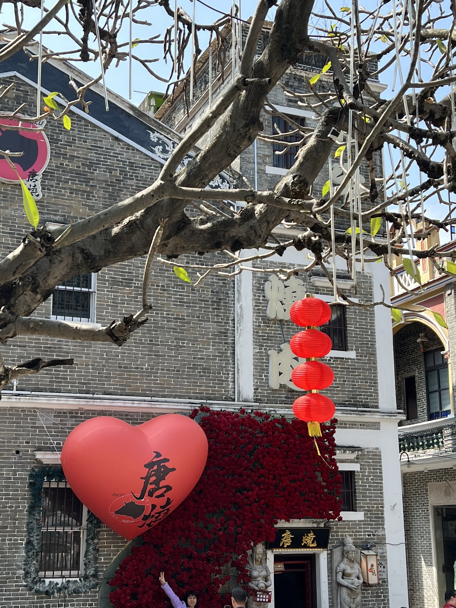 启明里旅行图片 3