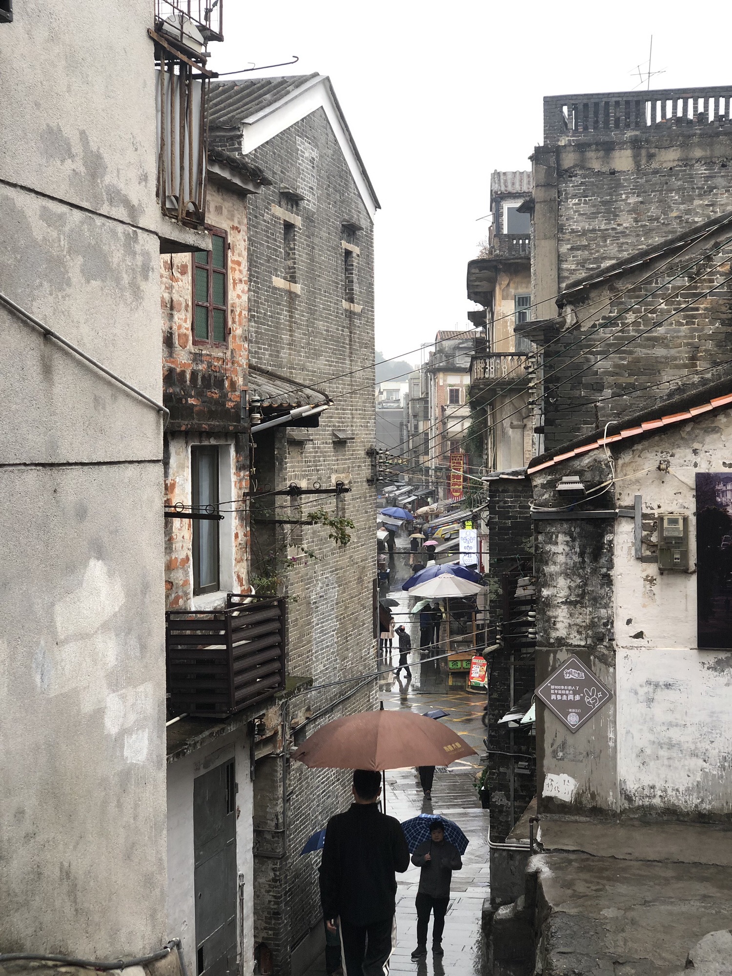 启明里旅行图片 2