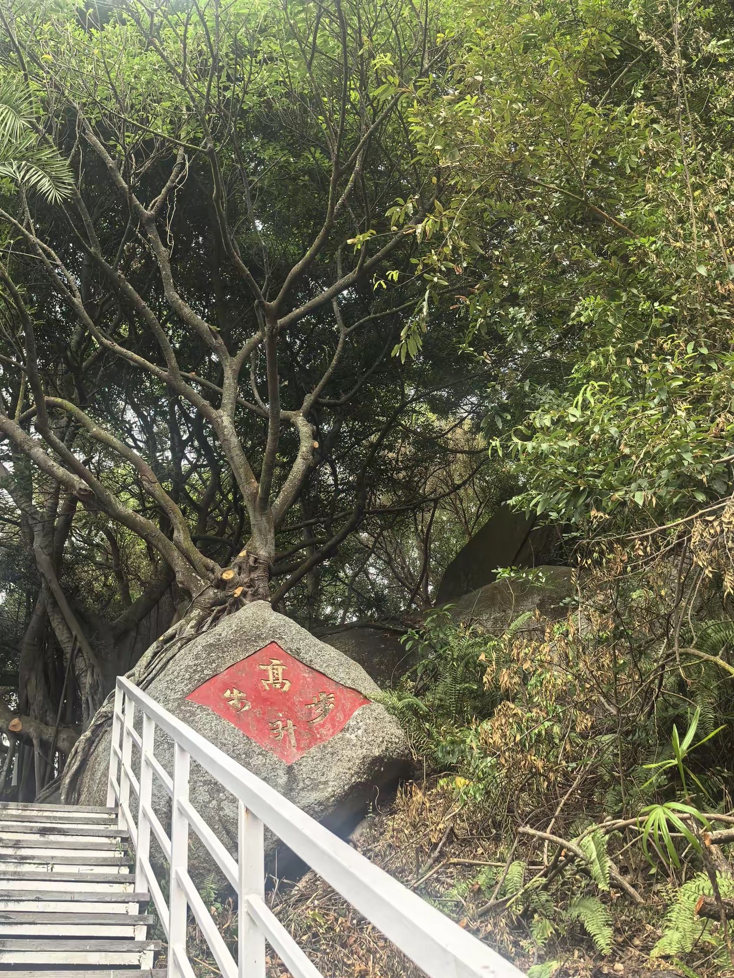 古舟岛旅行图片 3