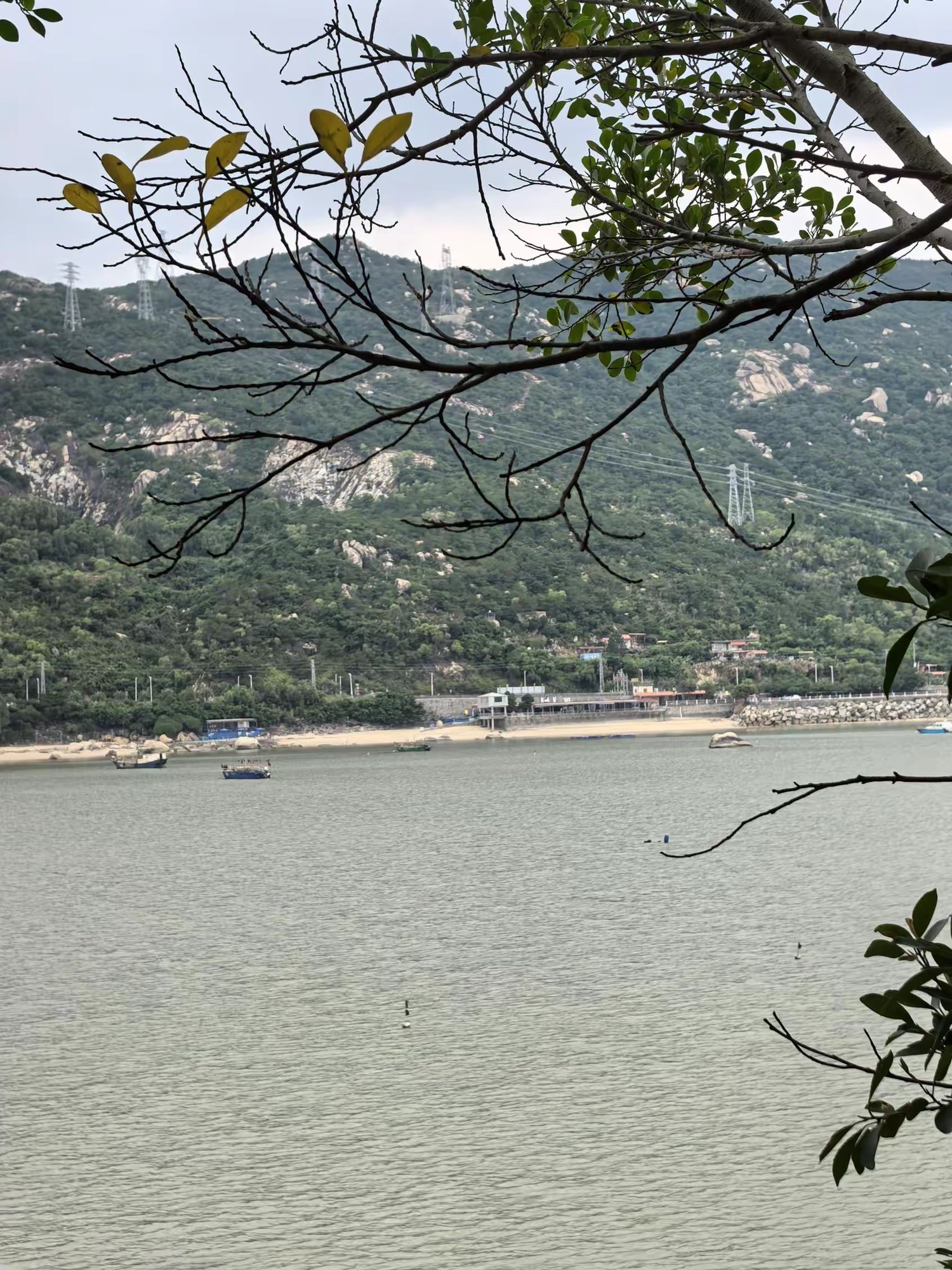 古舟岛旅行图片 1